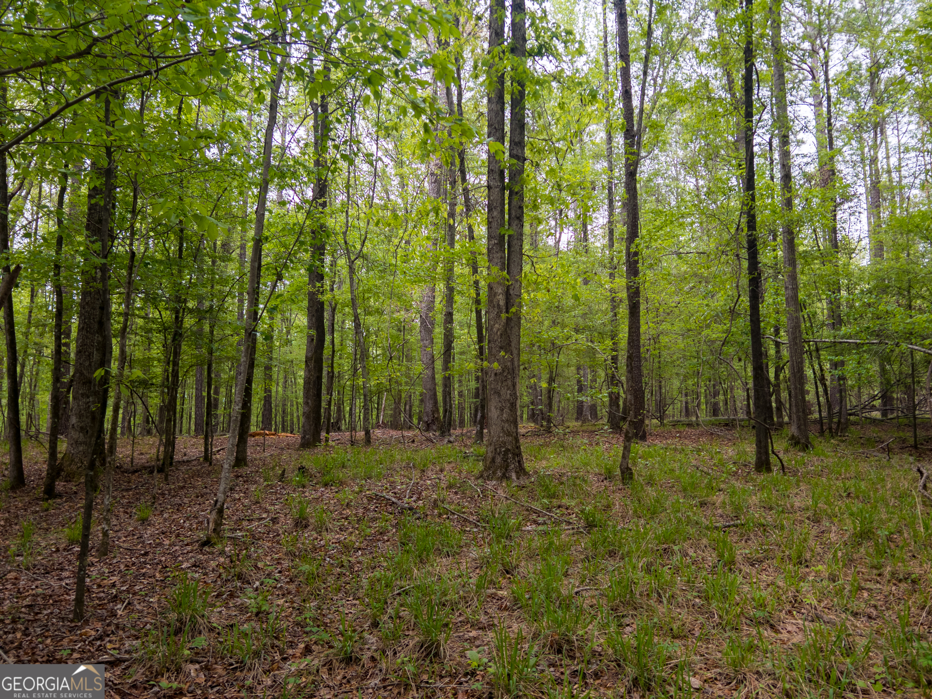 0 Georgia Kaolin Road Dry Branch GA 31020