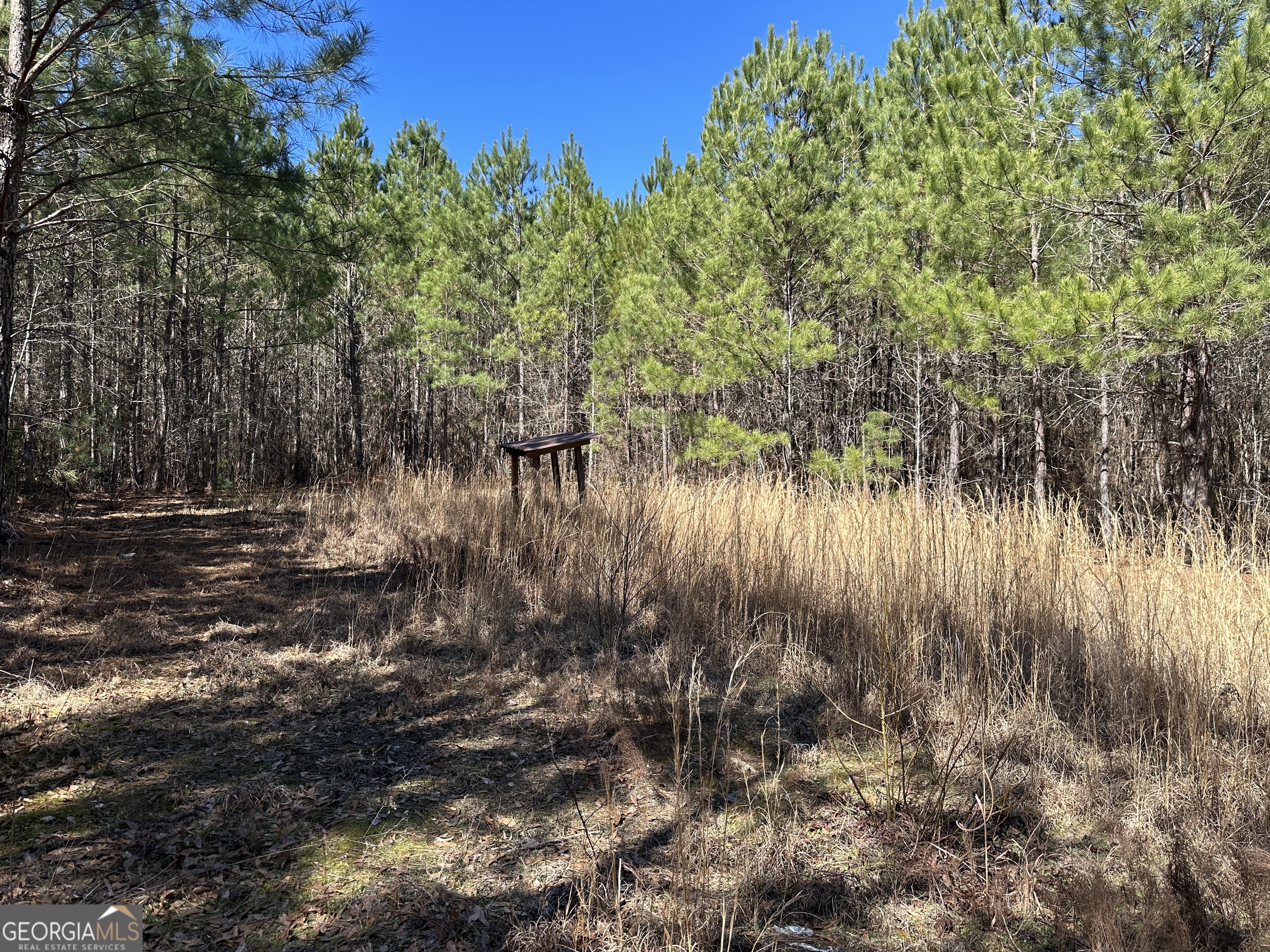 77 Acres Roosevelt Highway Warm Springs GA 31830