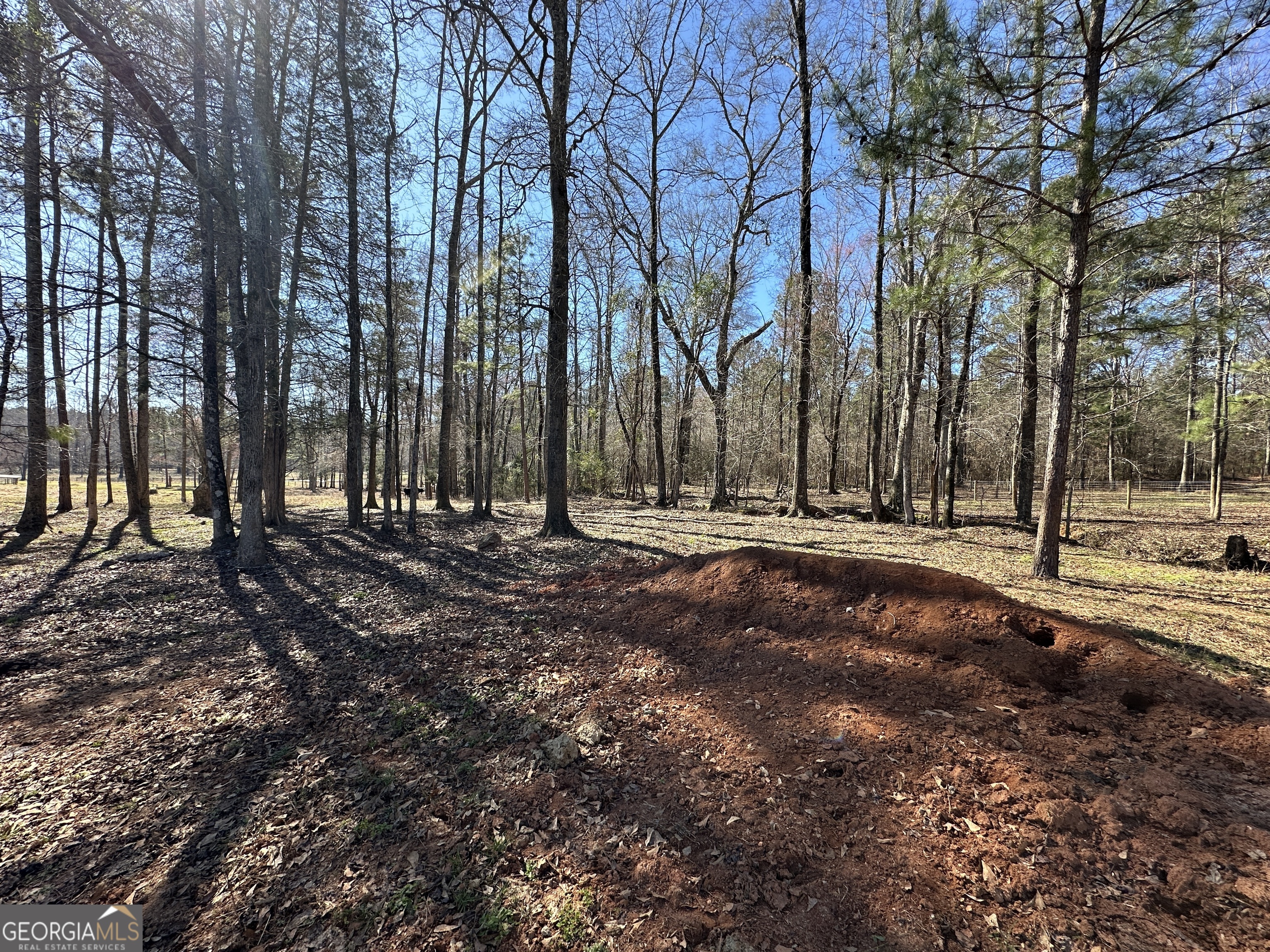77 Acres Roosevelt Highway Warm Springs GA 31830