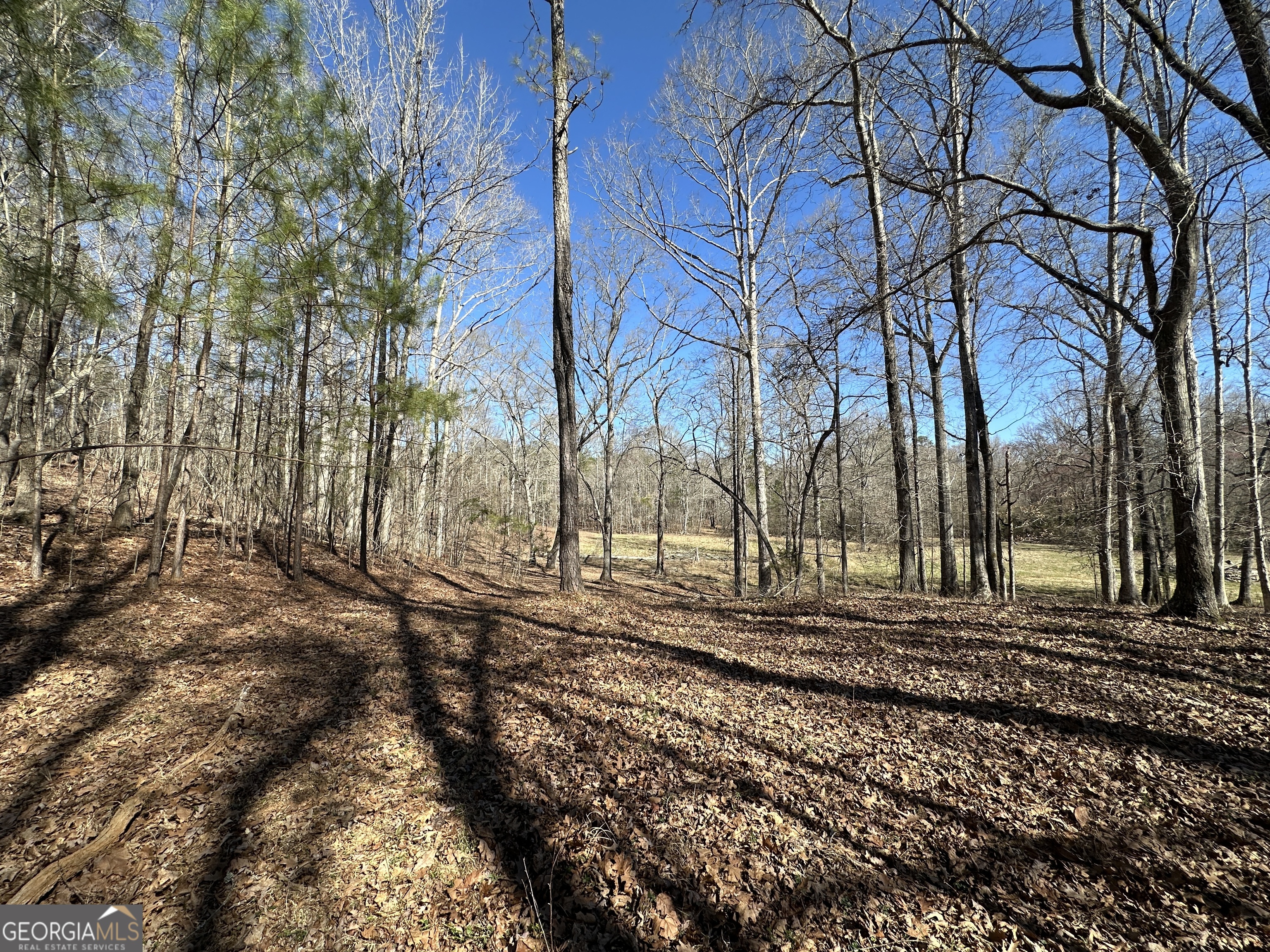 77 Acres Roosevelt Highway Warm Springs GA 31830