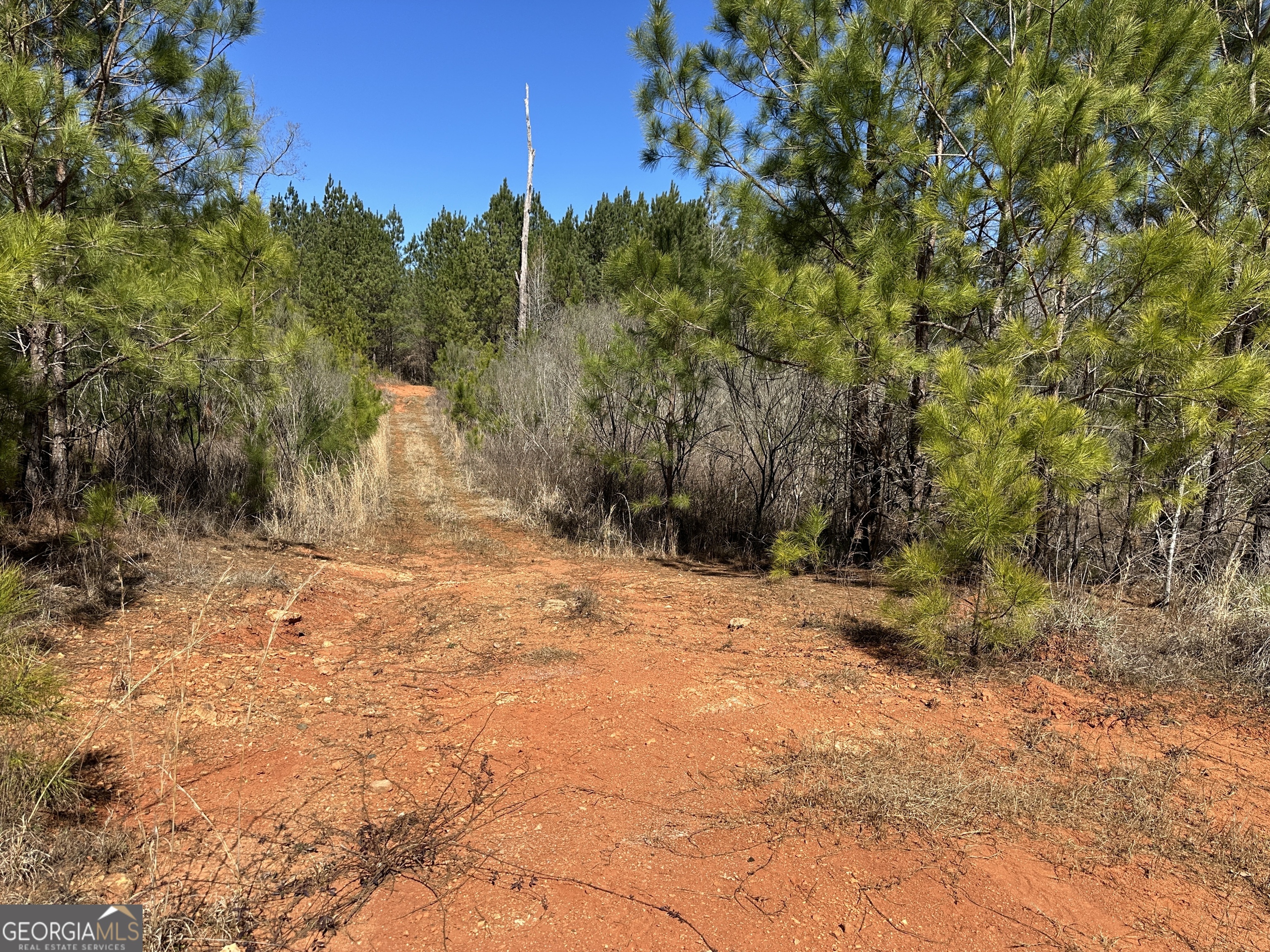 77 Acres Roosevelt Highway Warm Springs GA 31830