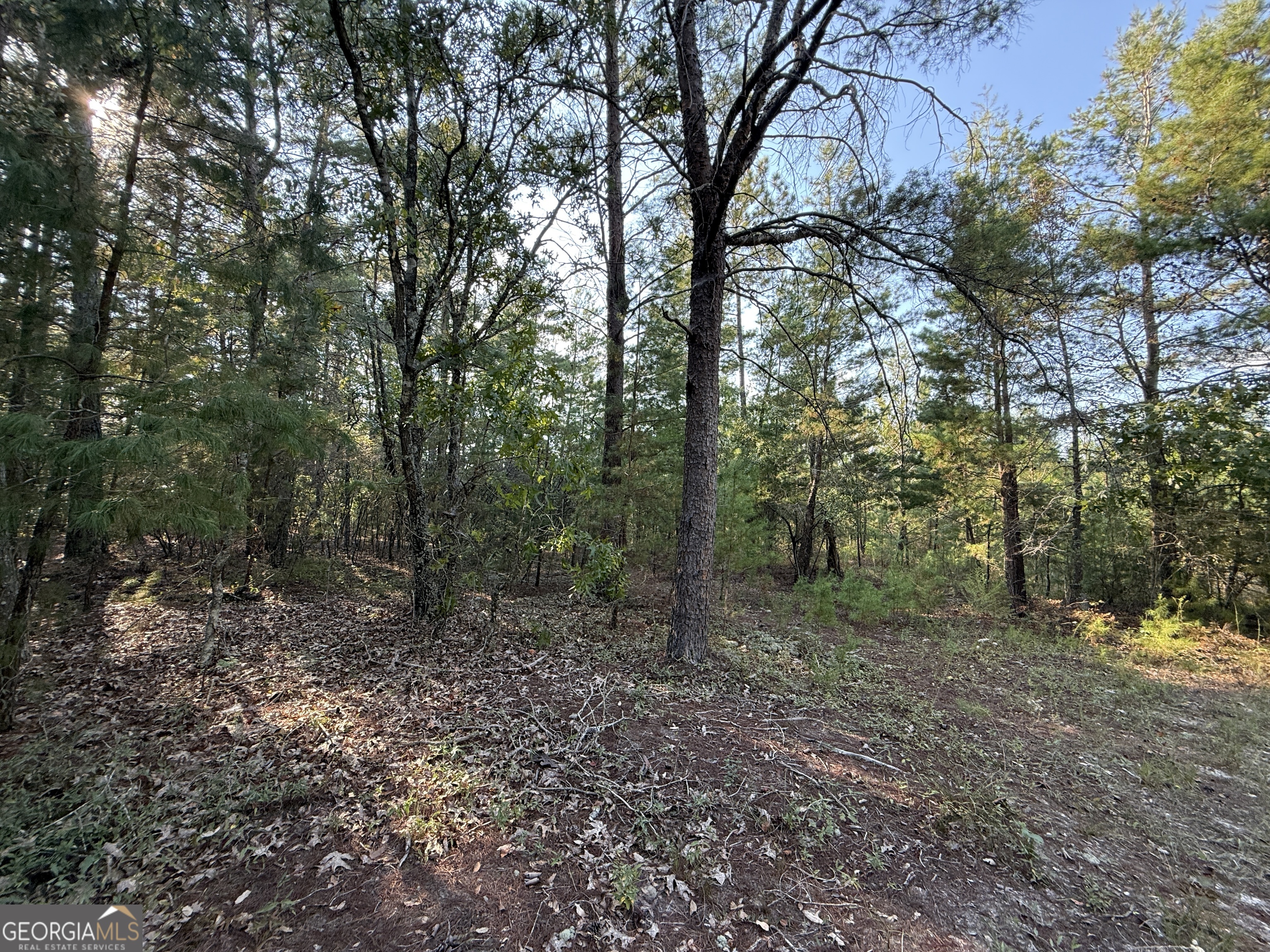 77 Acres Roosevelt Highway Warm Springs GA 31830