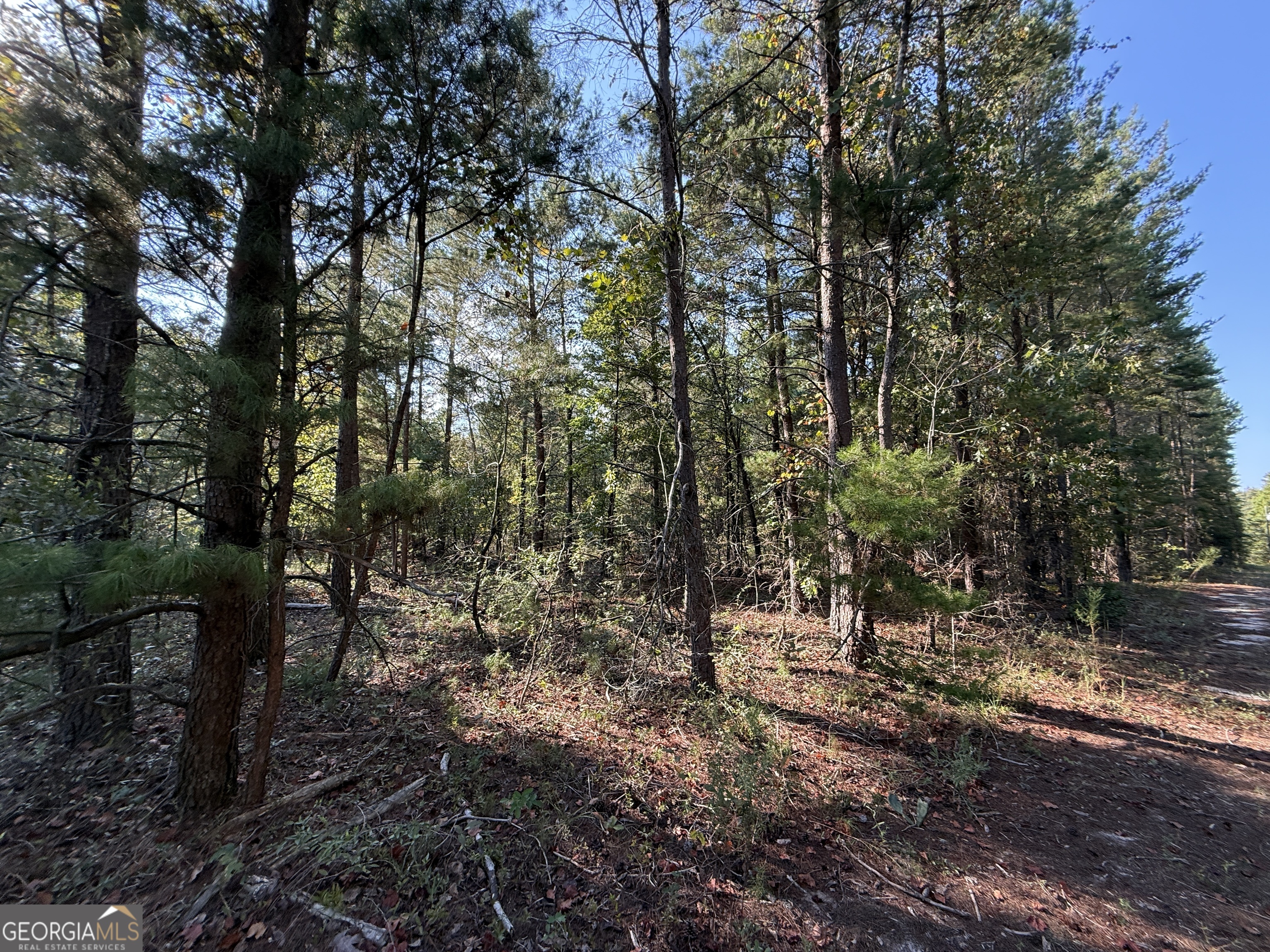 77 Acres Roosevelt Highway Warm Springs GA 31830
