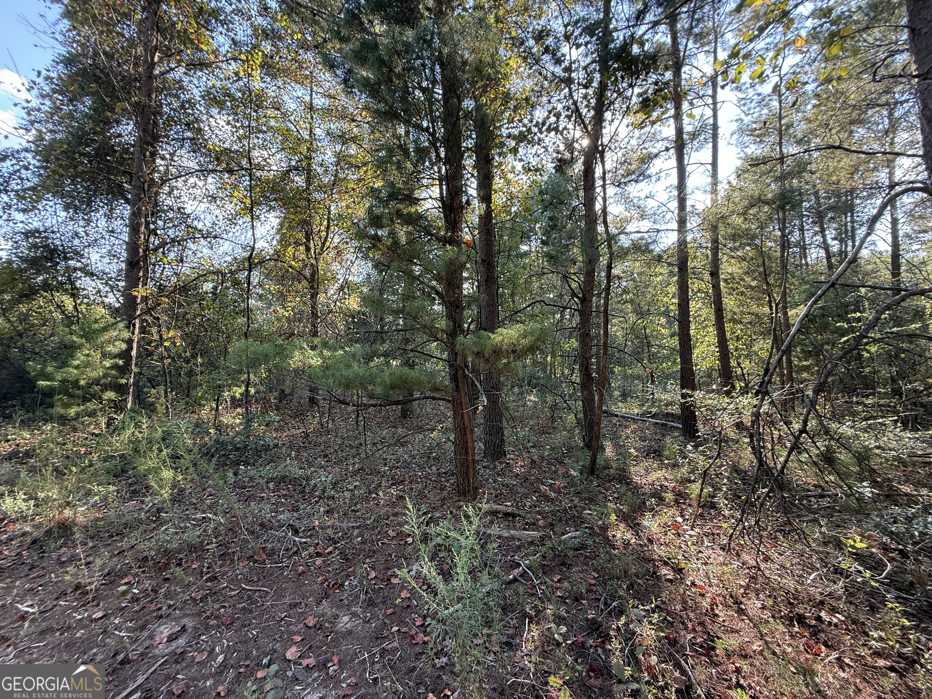 77 Acres Roosevelt Highway Warm Springs GA 31830
