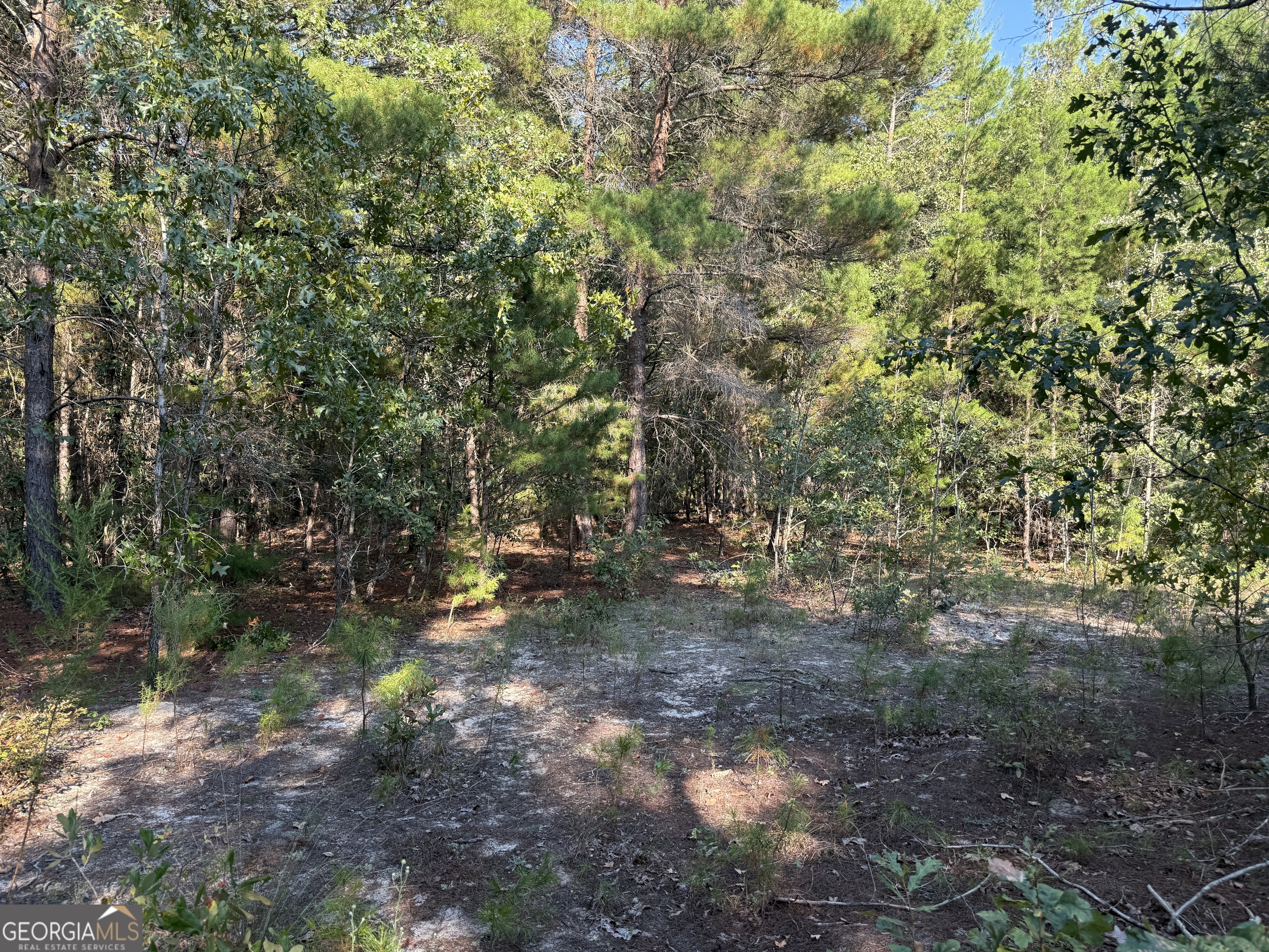77 Acres Roosevelt Highway Warm Springs GA 31830