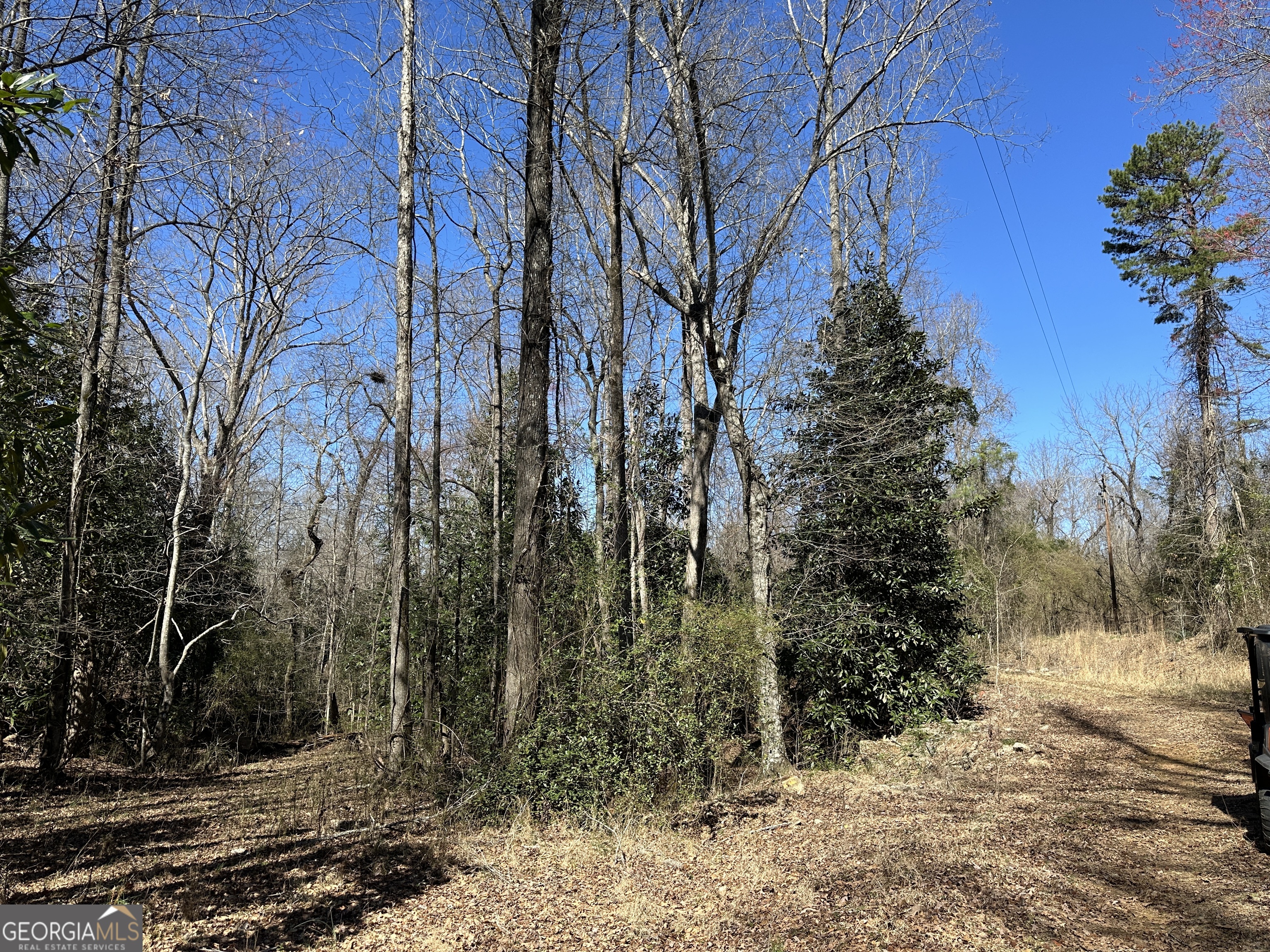 77 Acres Roosevelt Highway Warm Springs GA 31830