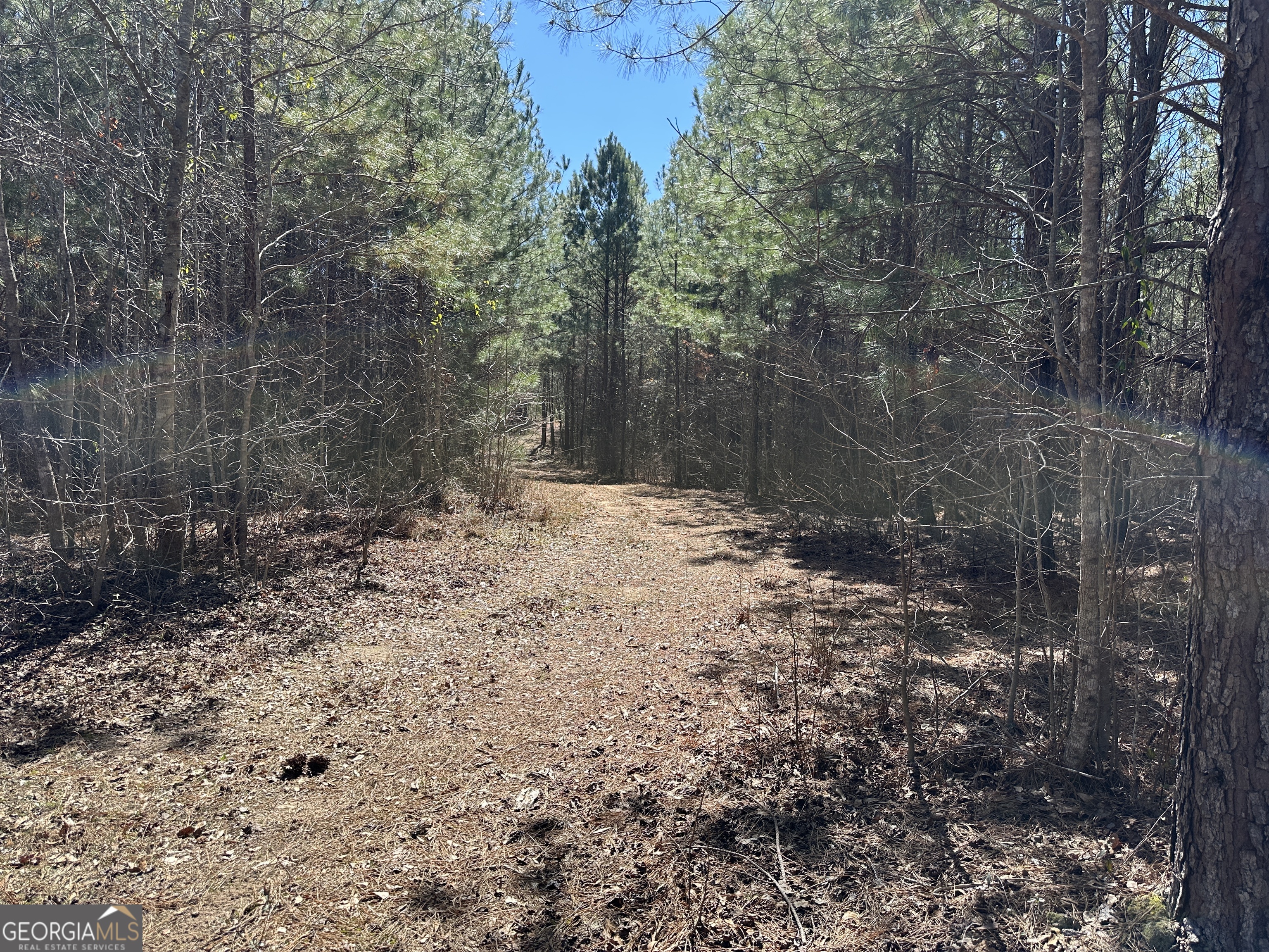 77 Acres Roosevelt Highway Warm Springs GA 31830