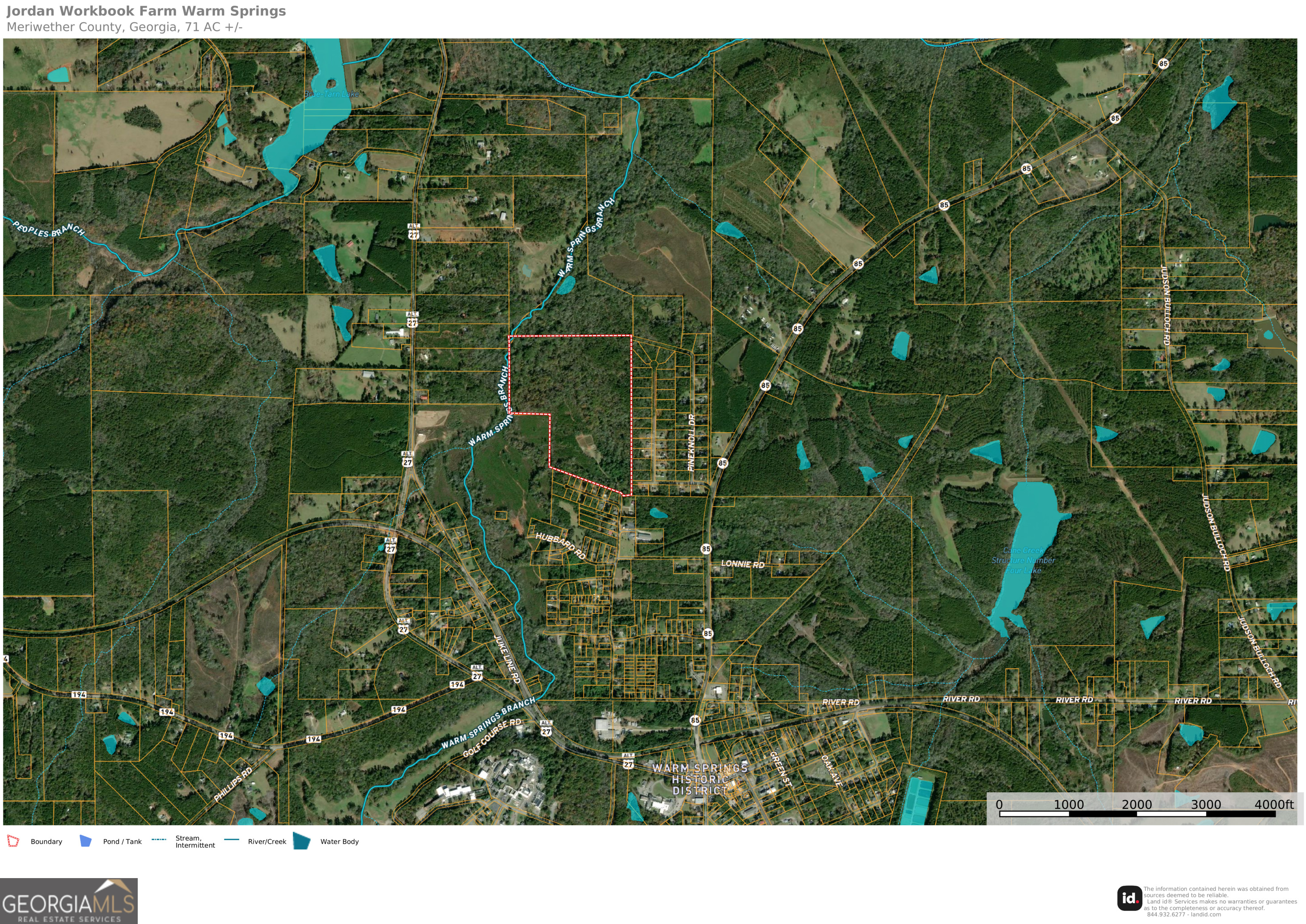 77 Acres Roosevelt Highway Warm Springs GA 31830