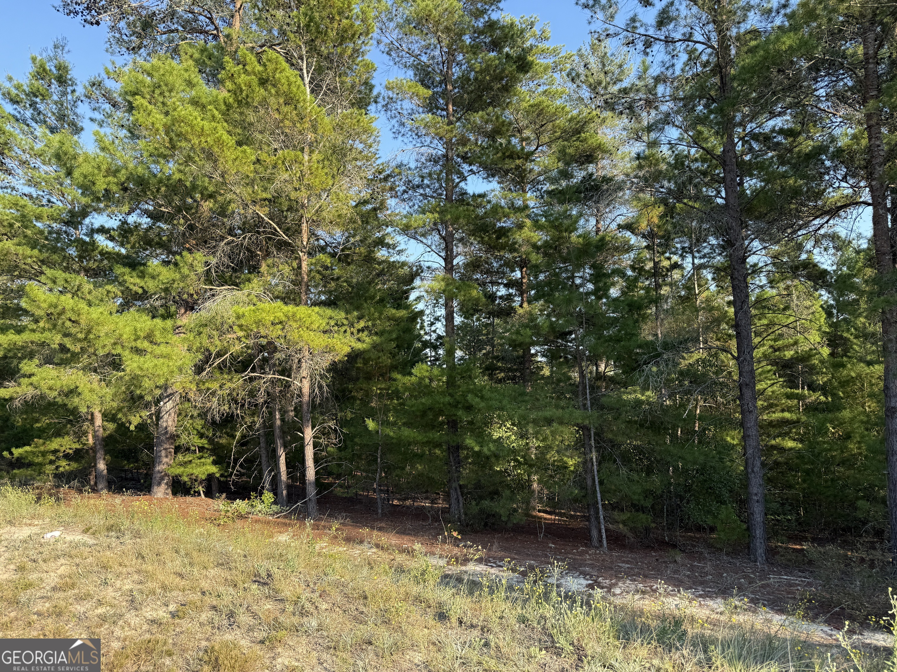 77 Acres Roosevelt Highway Warm Springs GA 31830