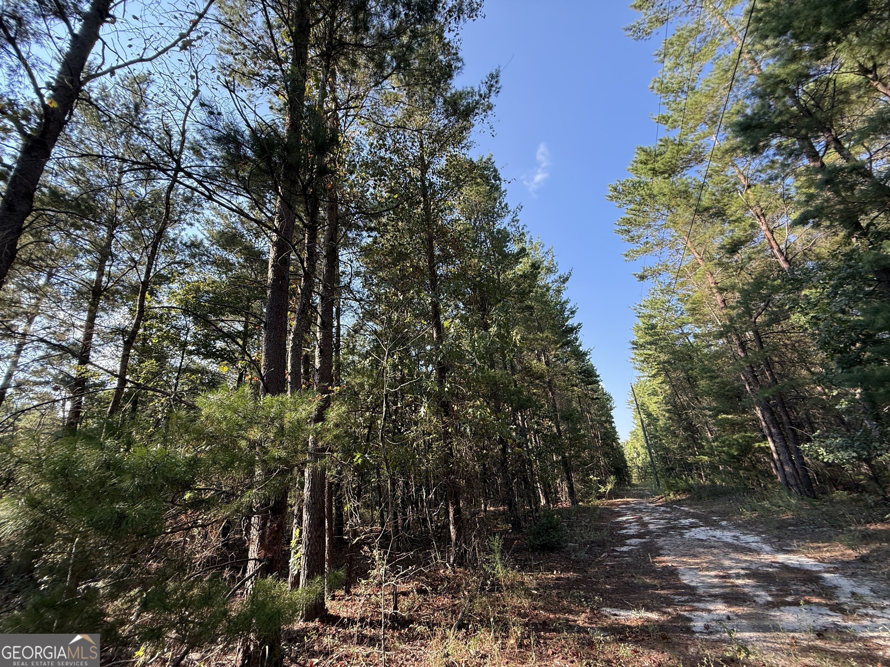 77 Acres Roosevelt Highway Warm Springs GA 31830