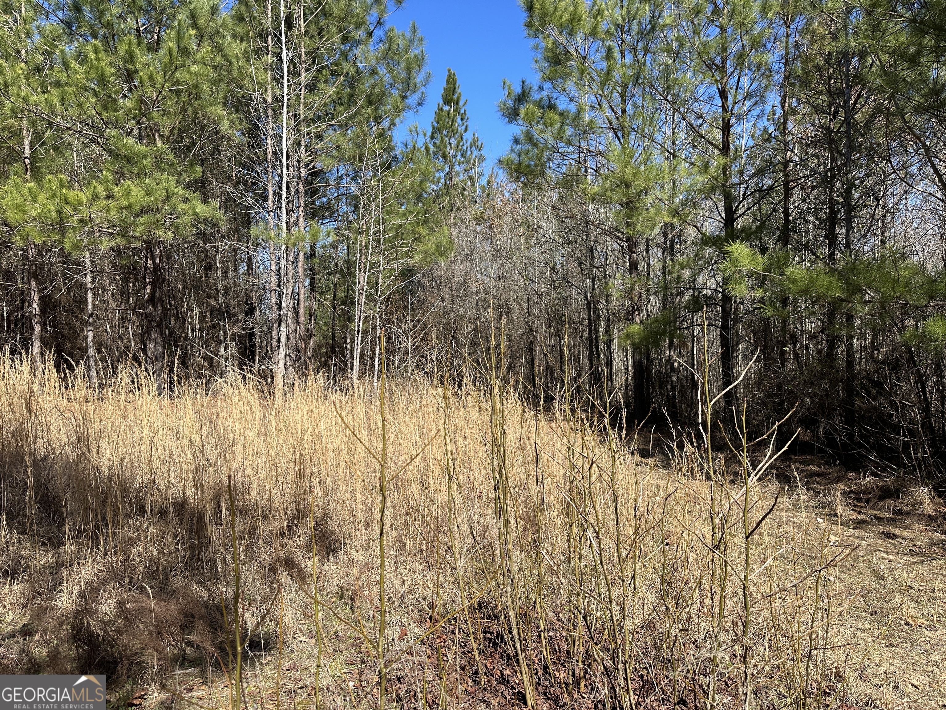 77 Acres Roosevelt Highway Warm Springs GA 31830