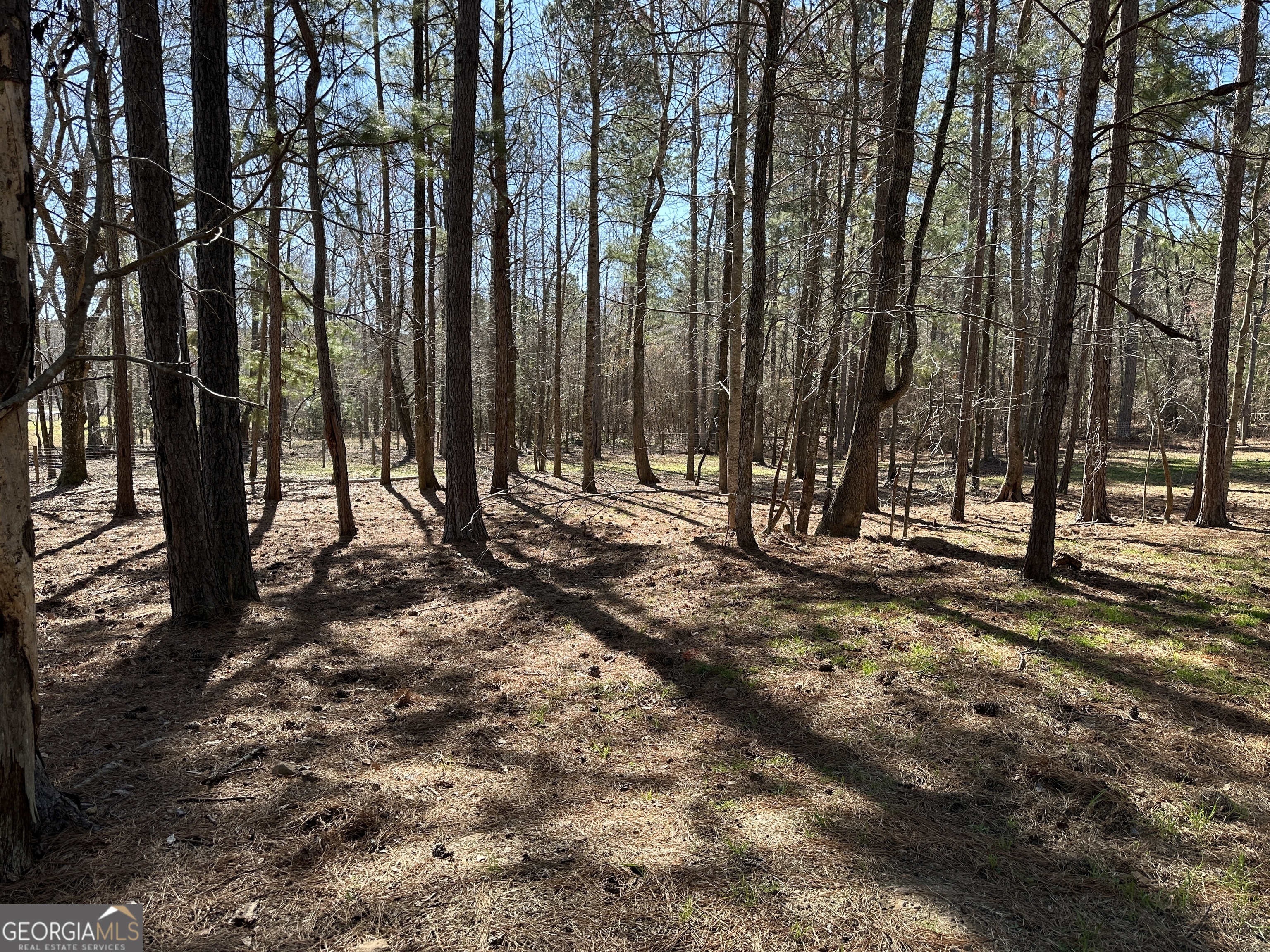 77 Acres Roosevelt Highway Warm Springs GA 31830