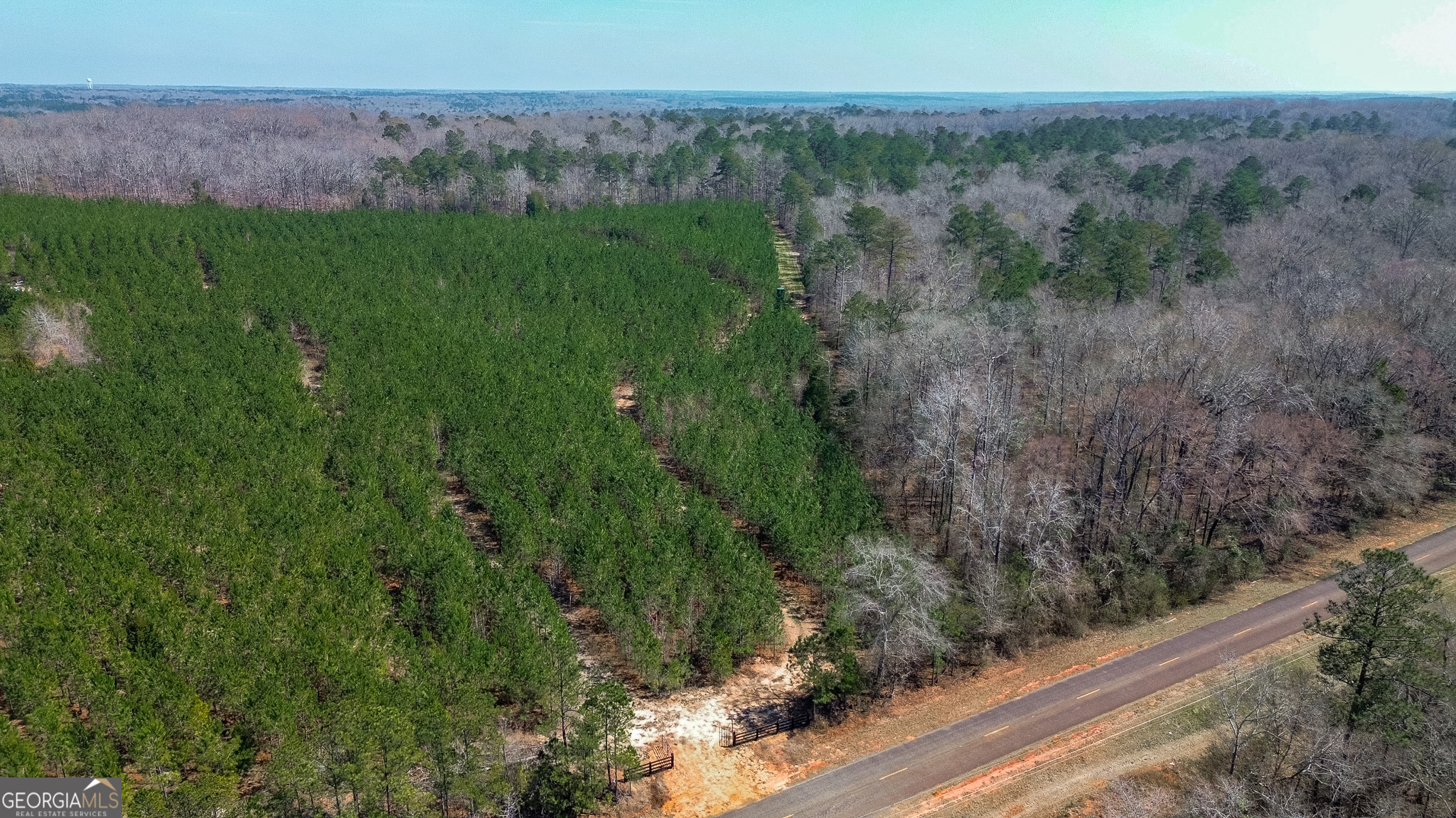 0 Dozier Road Ellaville GA 31806