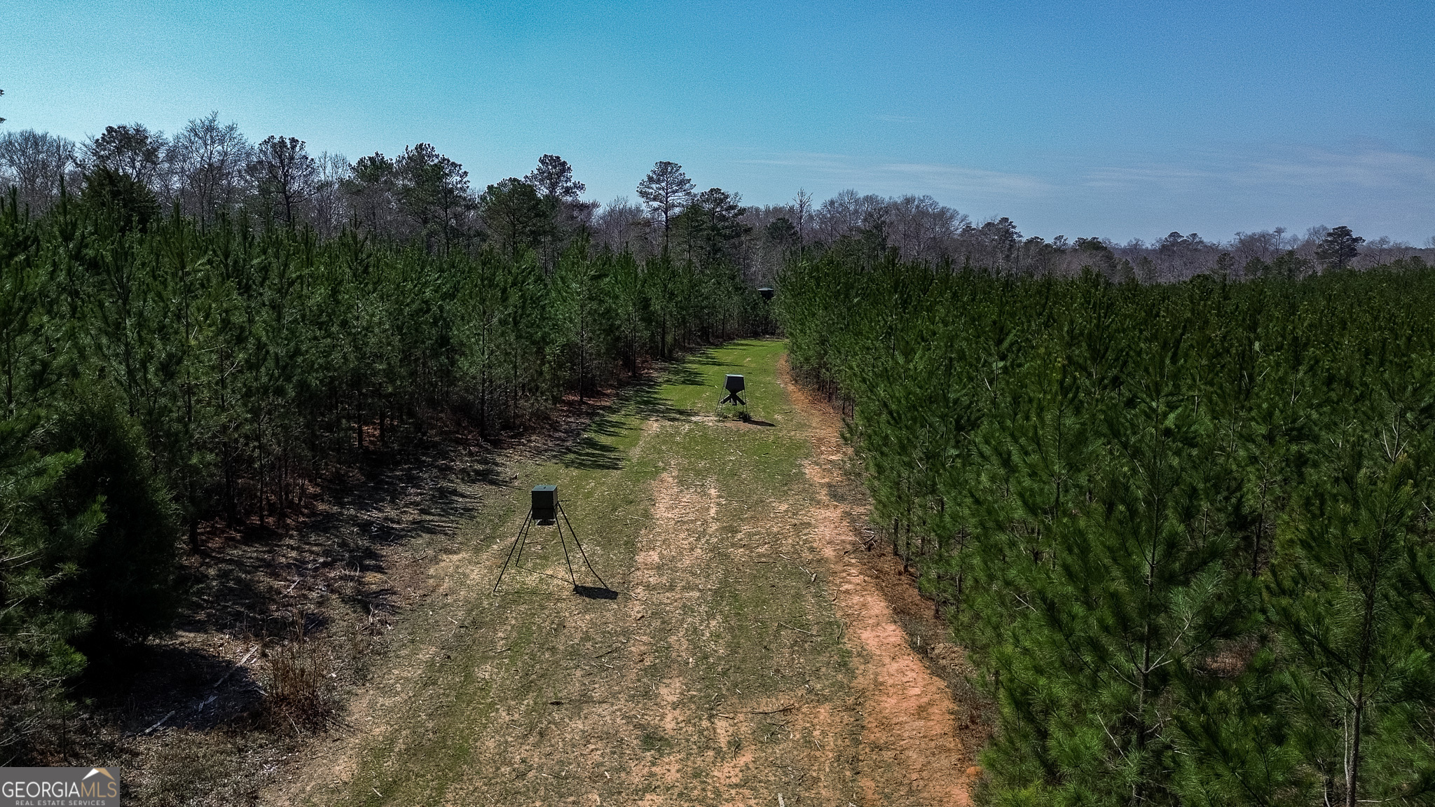 0 Dozier Road Ellaville GA 31806