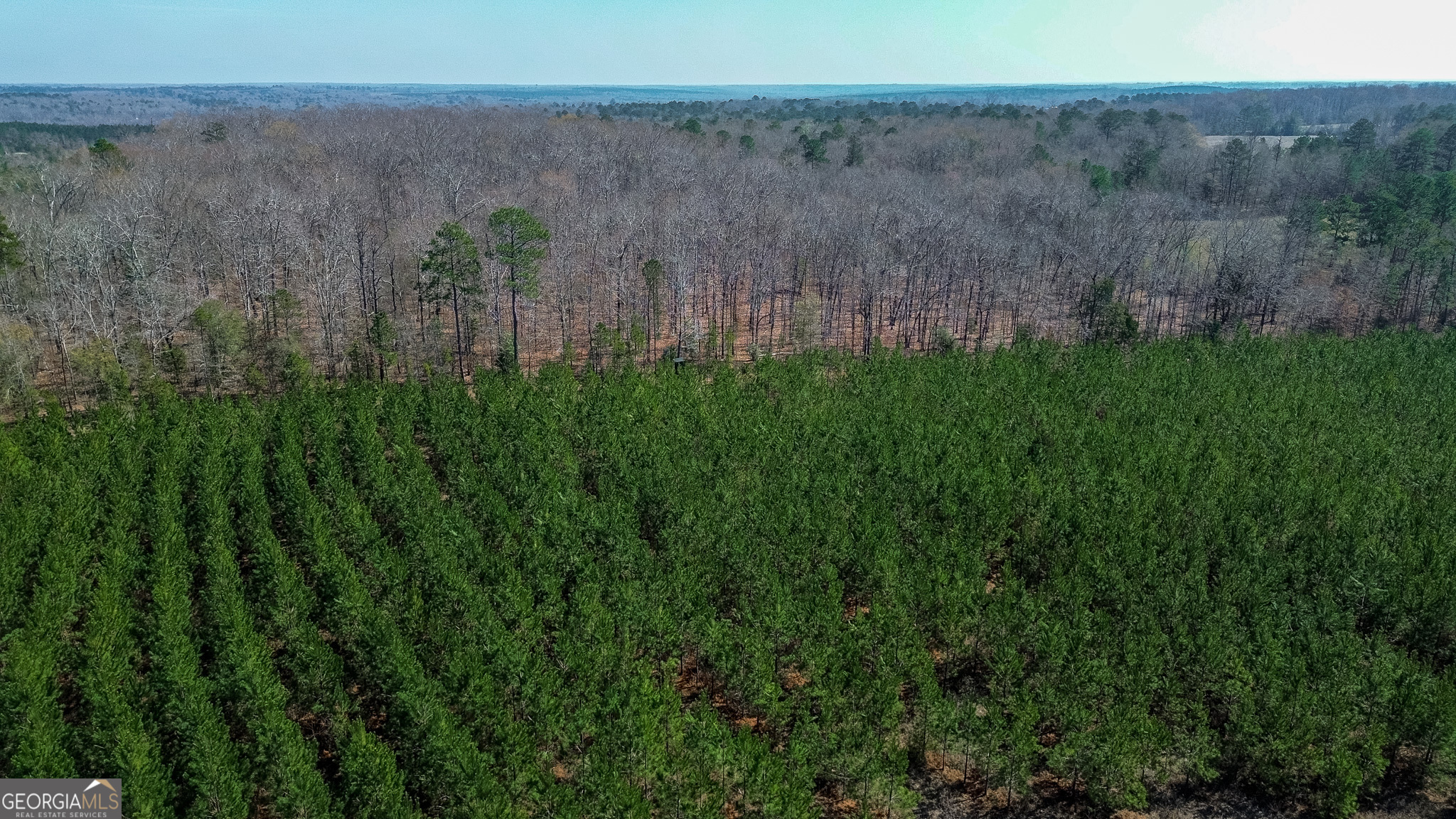0 Dozier Road Ellaville GA 31806