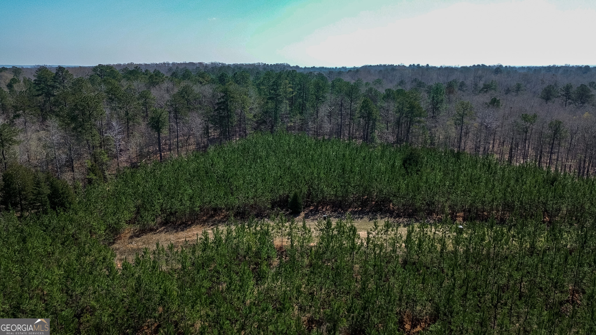 0 Dozier Road Ellaville GA 31806