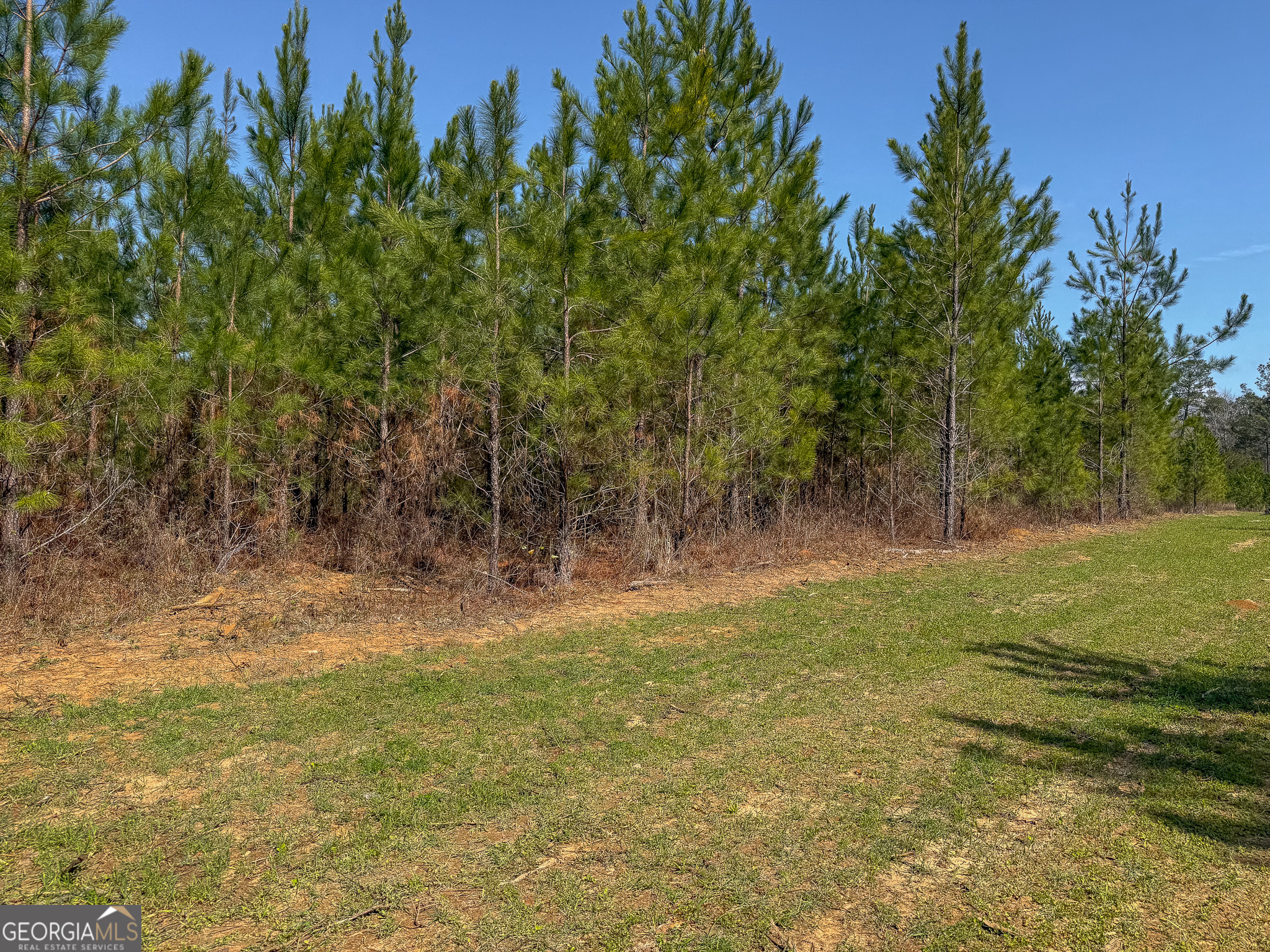0 Dozier Road Ellaville GA 31806