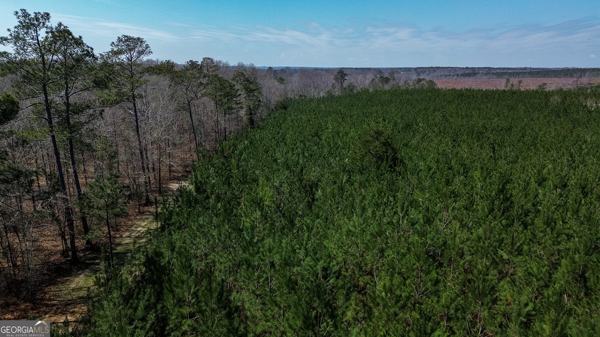 0 Dozier Road Ellaville GA 31806