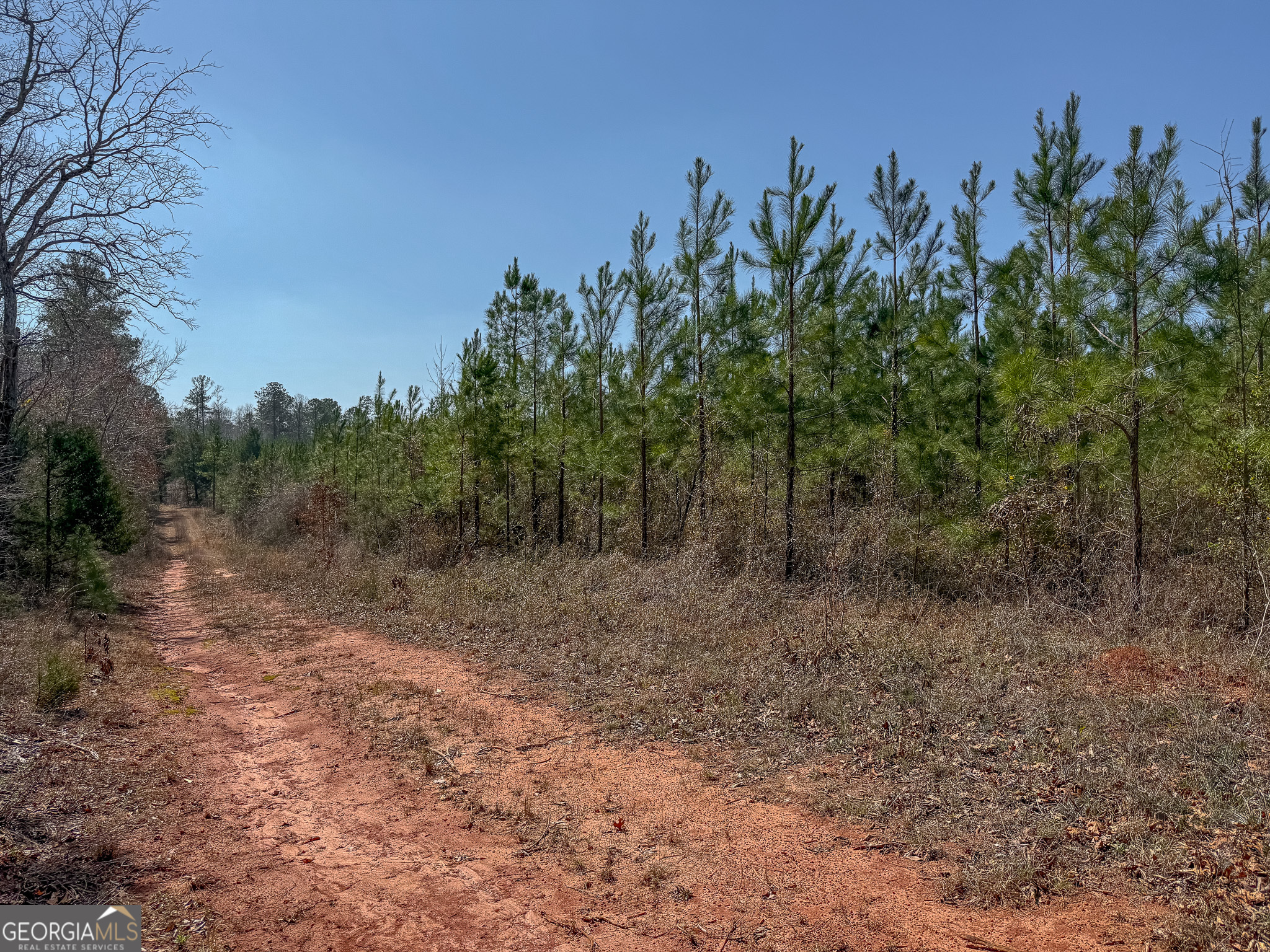 0 Dozier Road Ellaville GA 31806