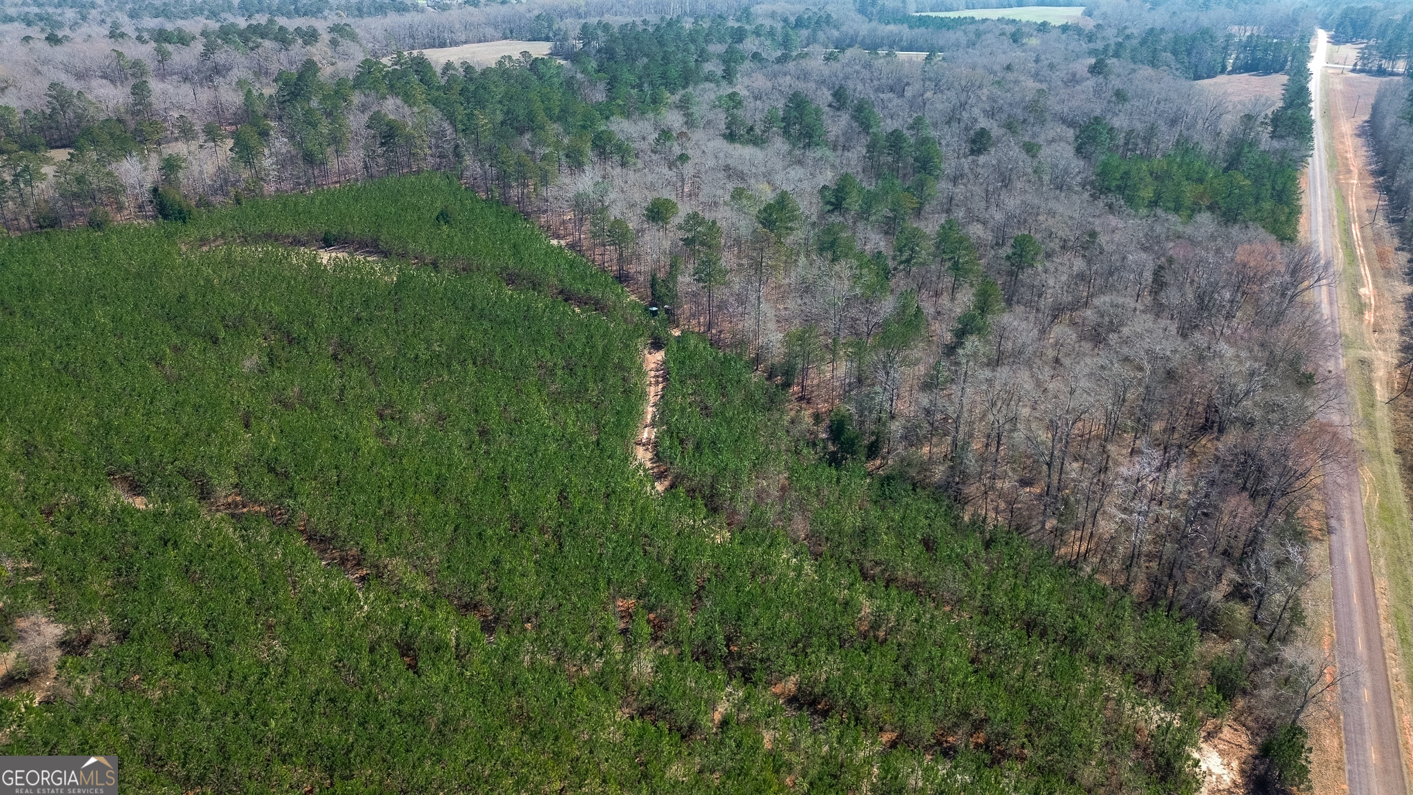 0 Dozier Road Ellaville GA 31806