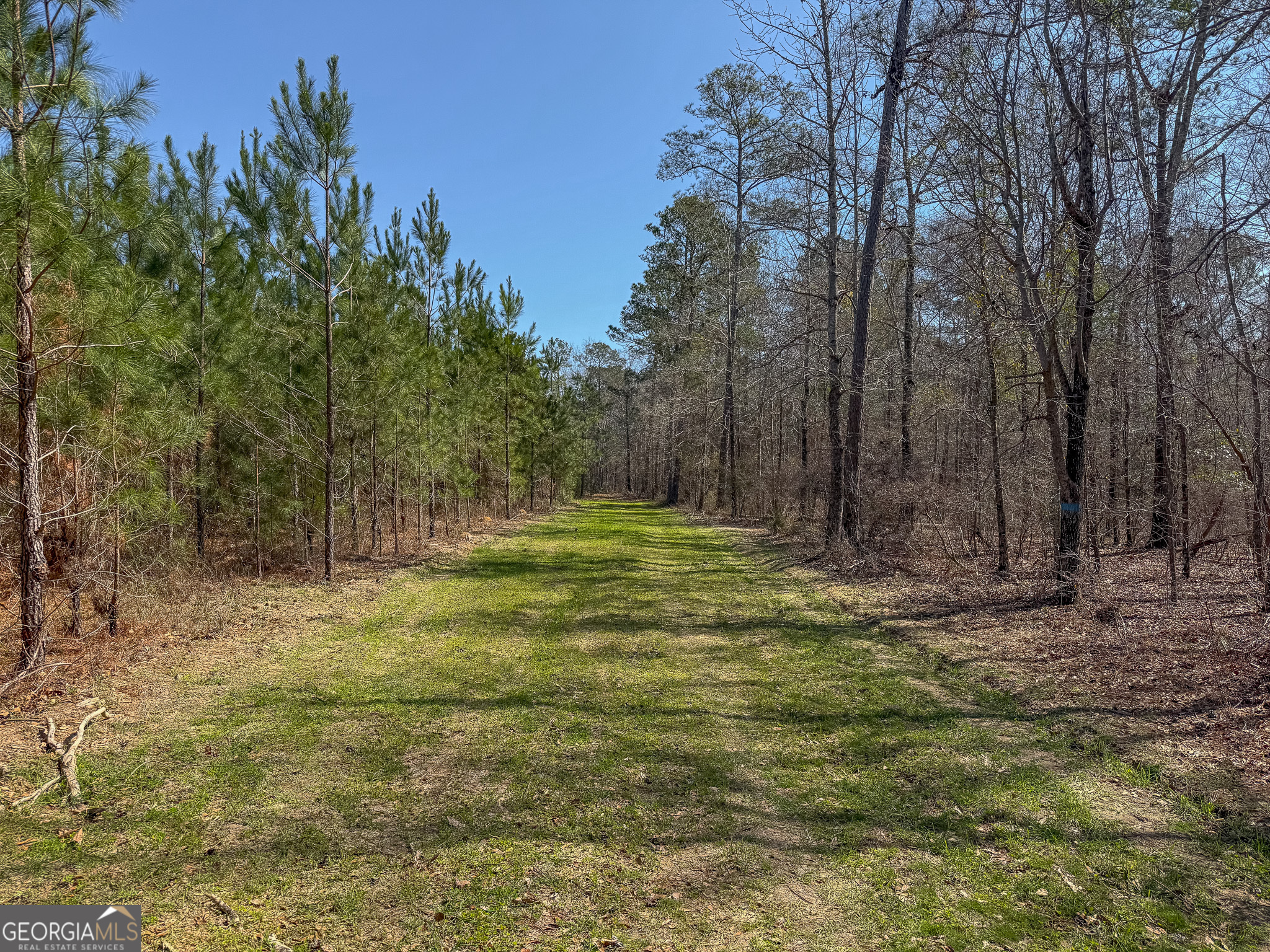 0 Dozier Road Ellaville GA 31806