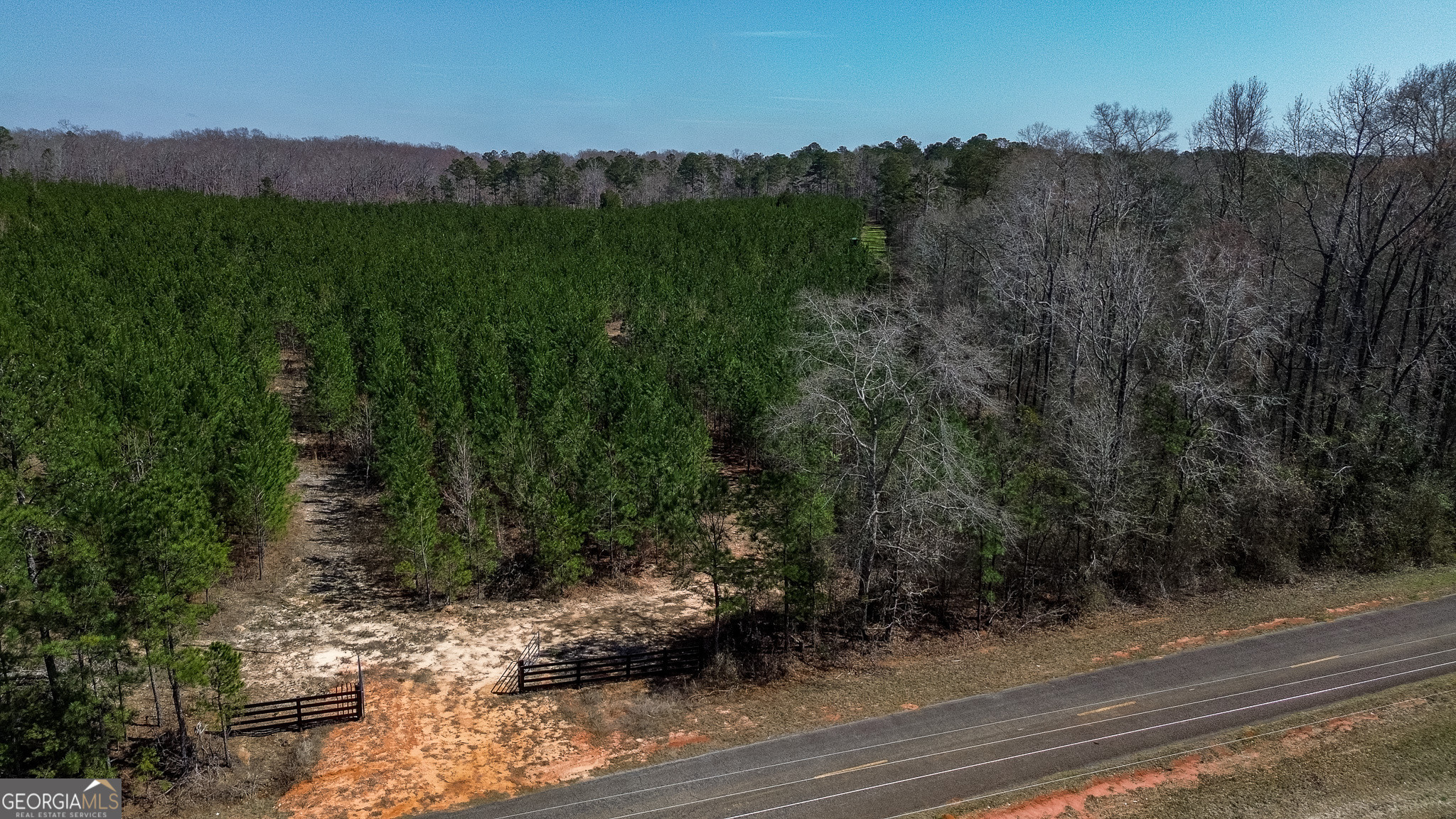 0 Dozier Road Ellaville GA 31806