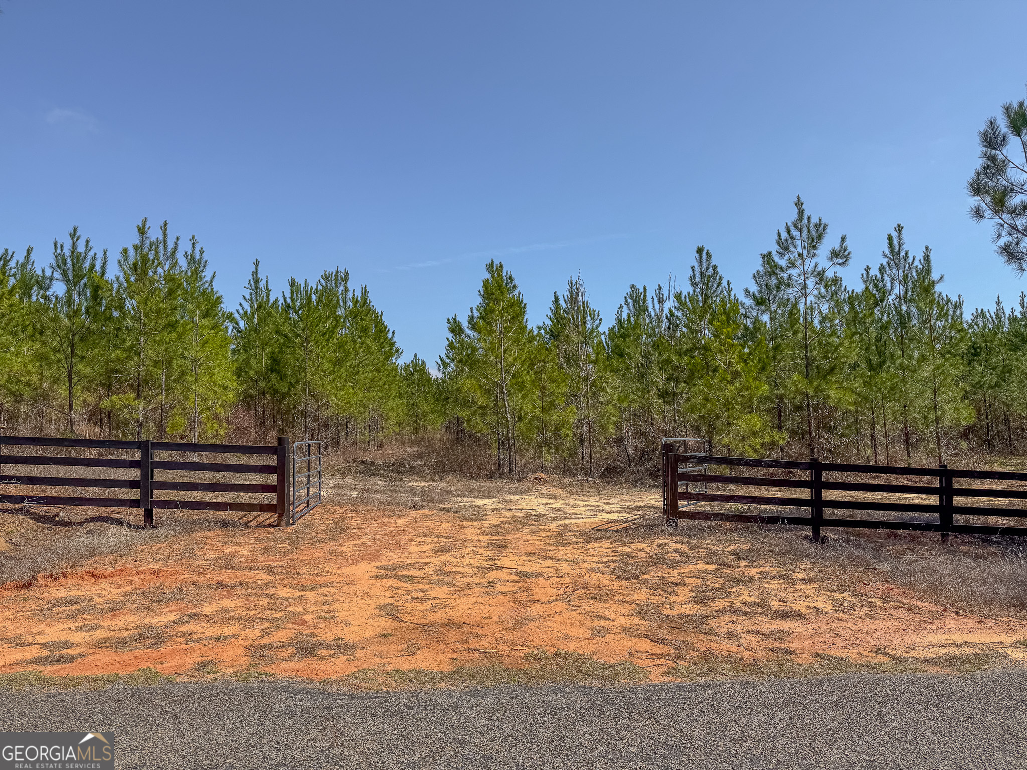 0 Dozier Road Ellaville GA 31806