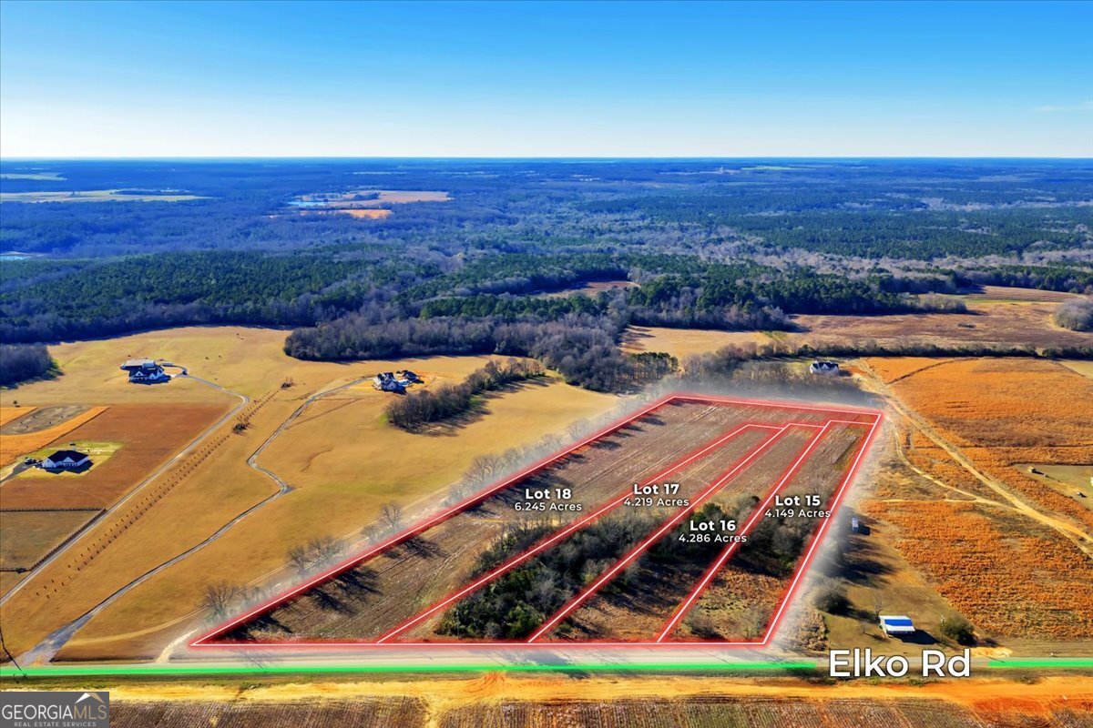 2587 (LOT 16) Elko Road Elko GA 31025