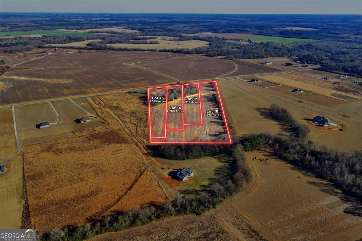 2587 (LOT 16) Elko Road Elko GA 31025