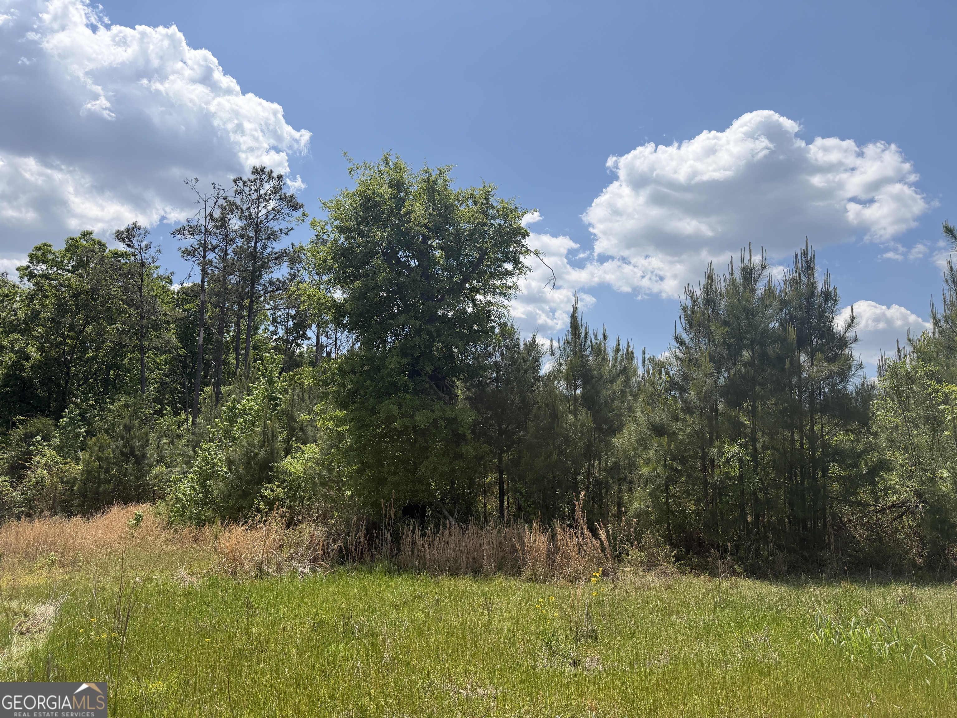 005 George Milling Road Cuthbert GA 39840