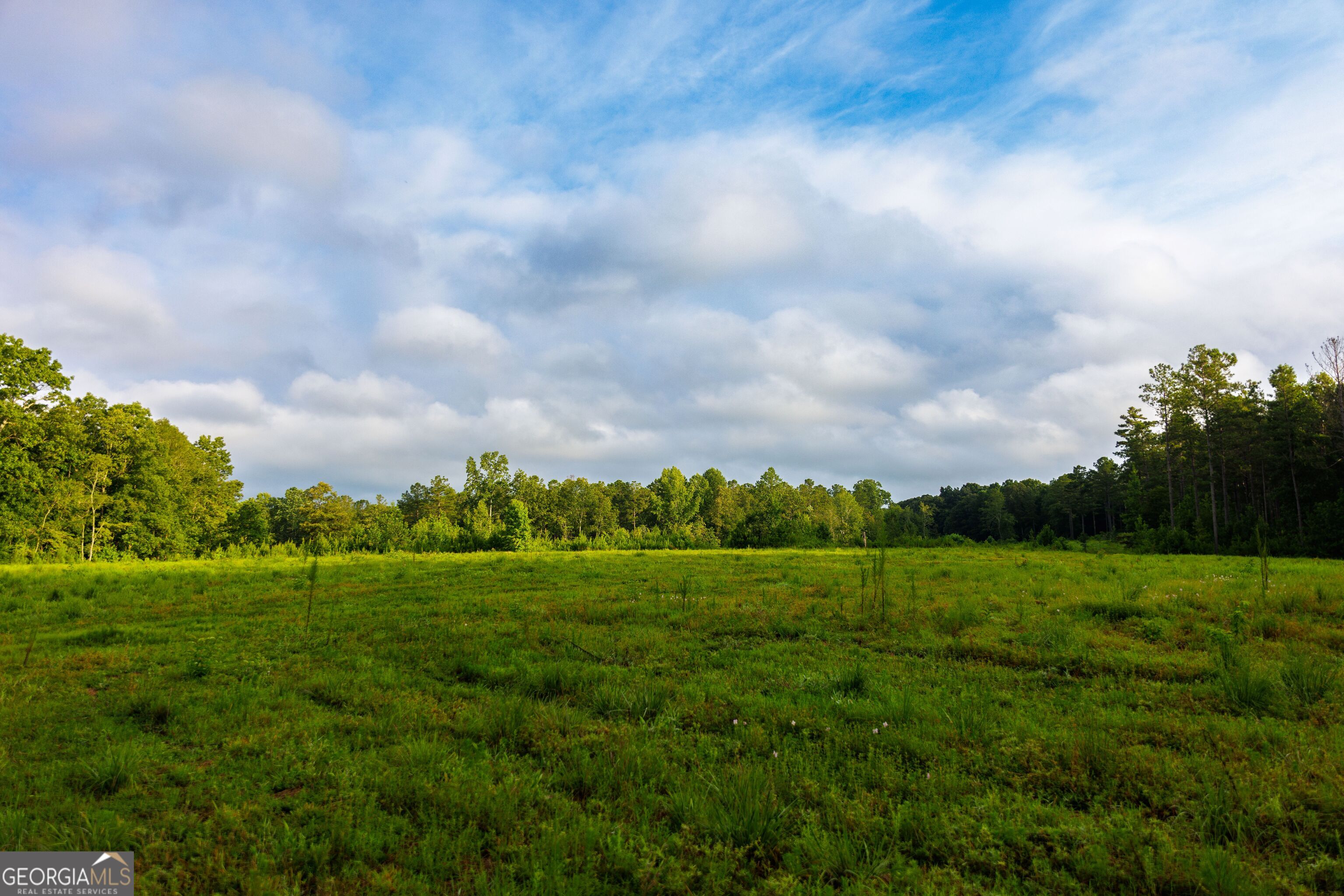 2199 Roosterville Road Roopville GA 30170
