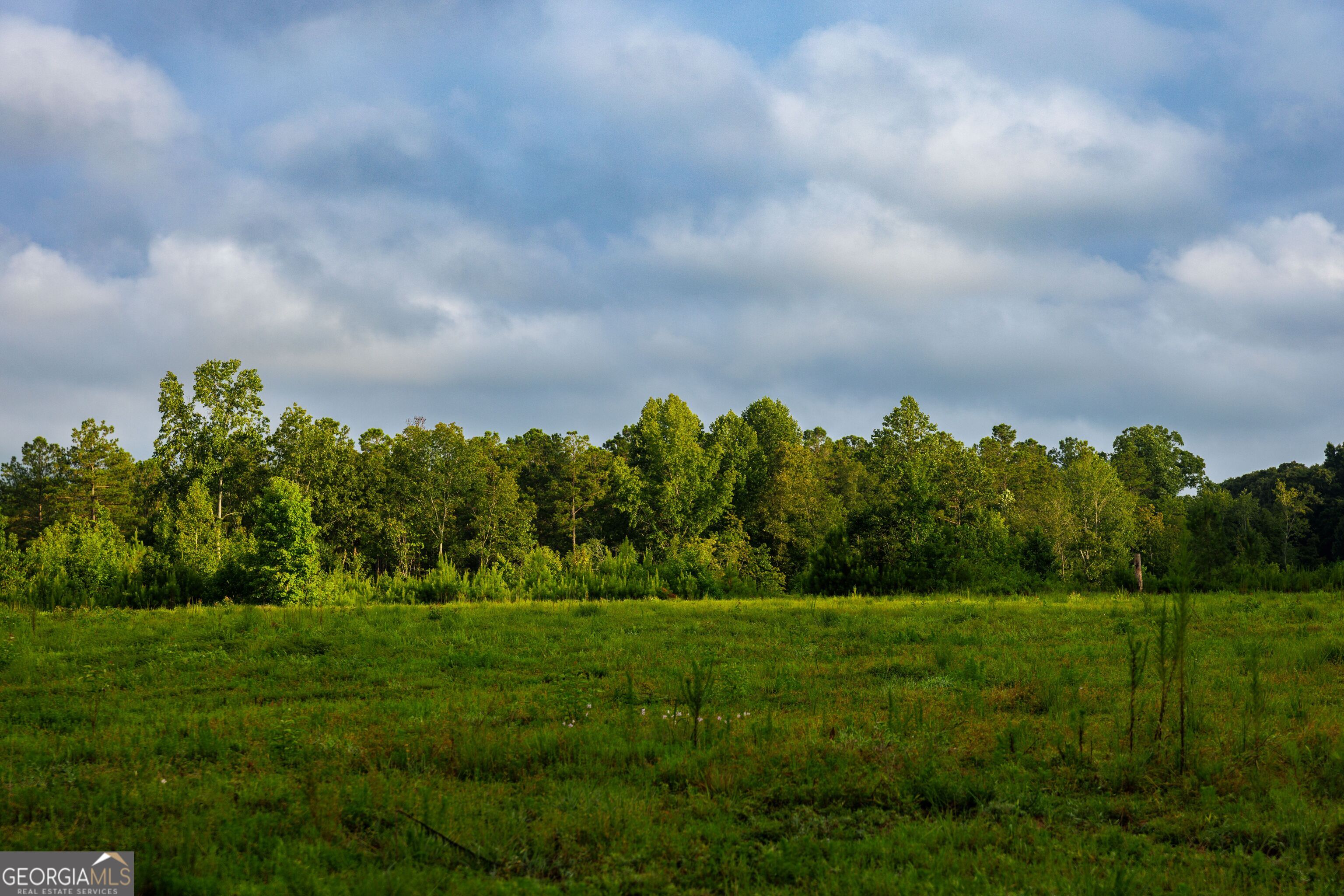 2199 Roosterville Road Roopville GA 30170
