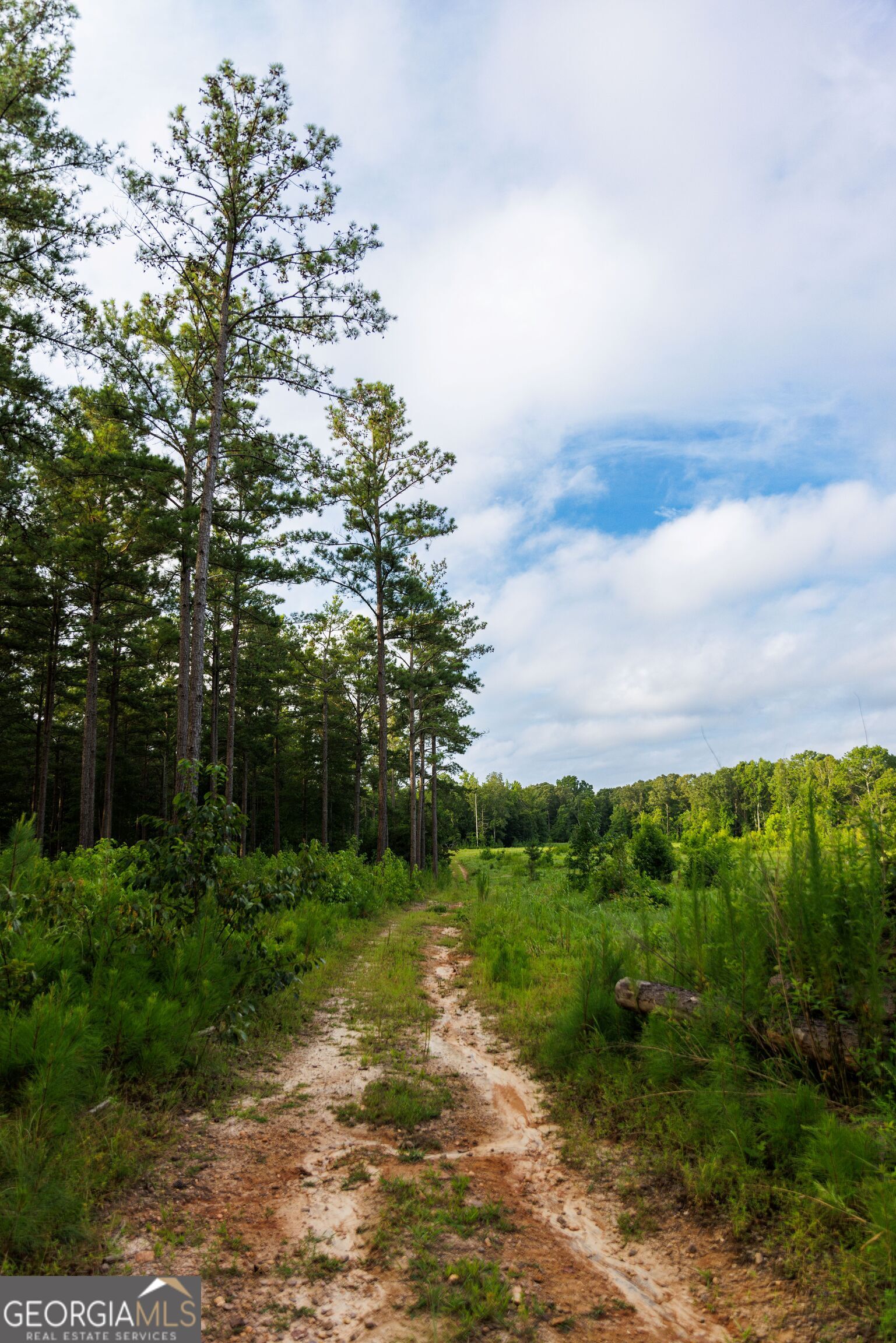 2199 Roosterville Road Roopville GA 30170