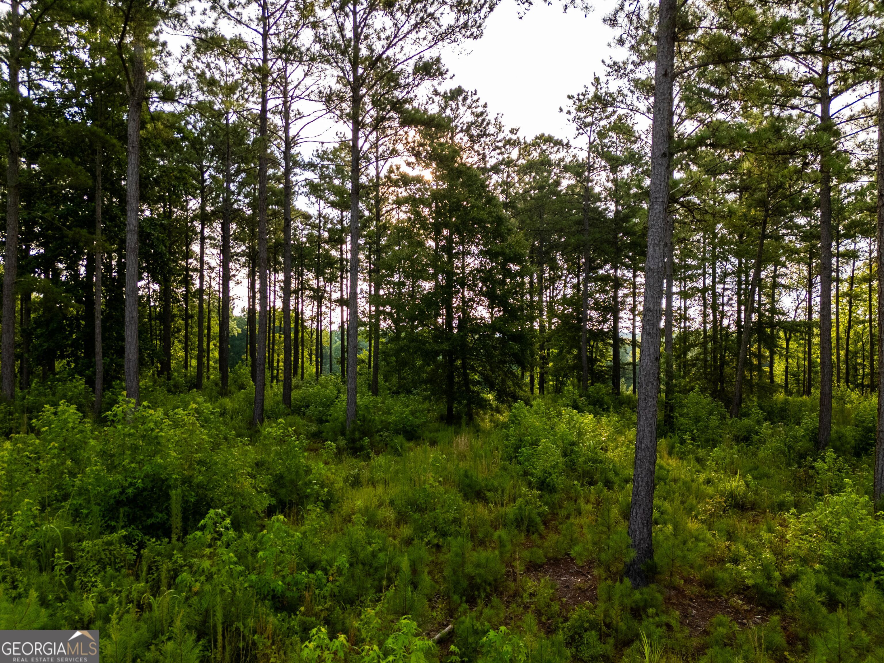 2199 Roosterville Road Roopville GA 30170