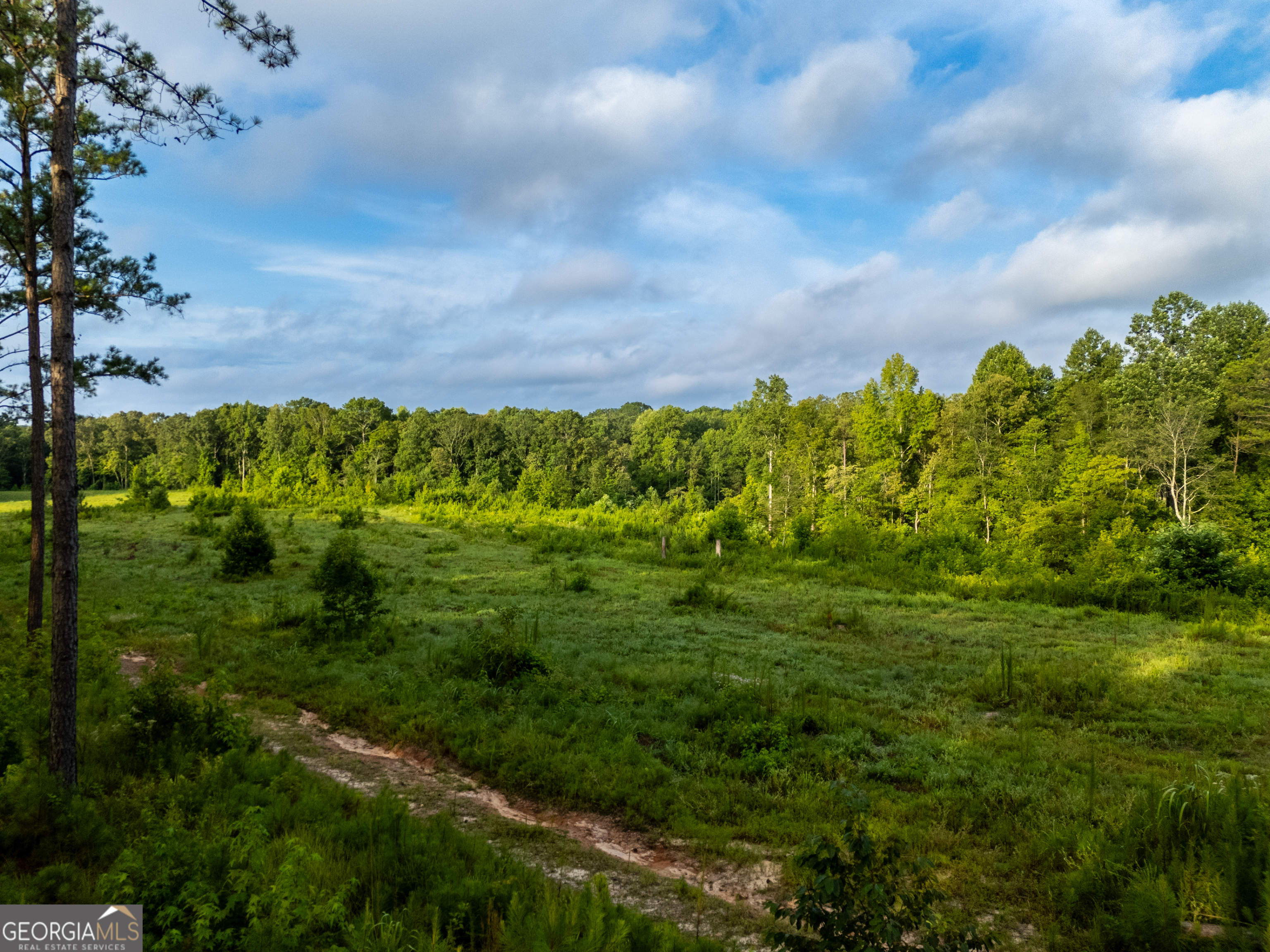 2199 Roosterville Road Roopville GA 30170