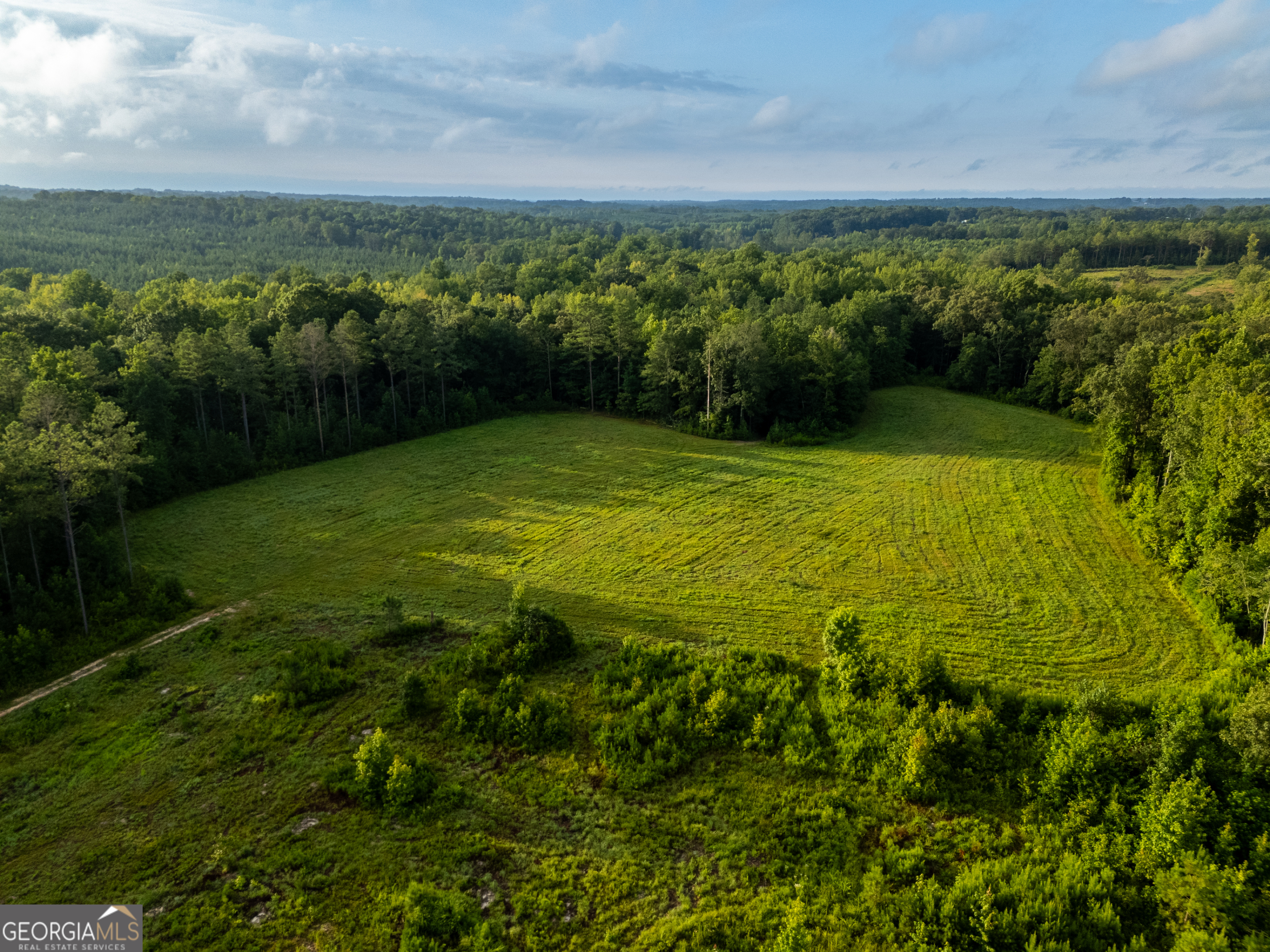 2199 Roosterville Road Roopville GA 30170