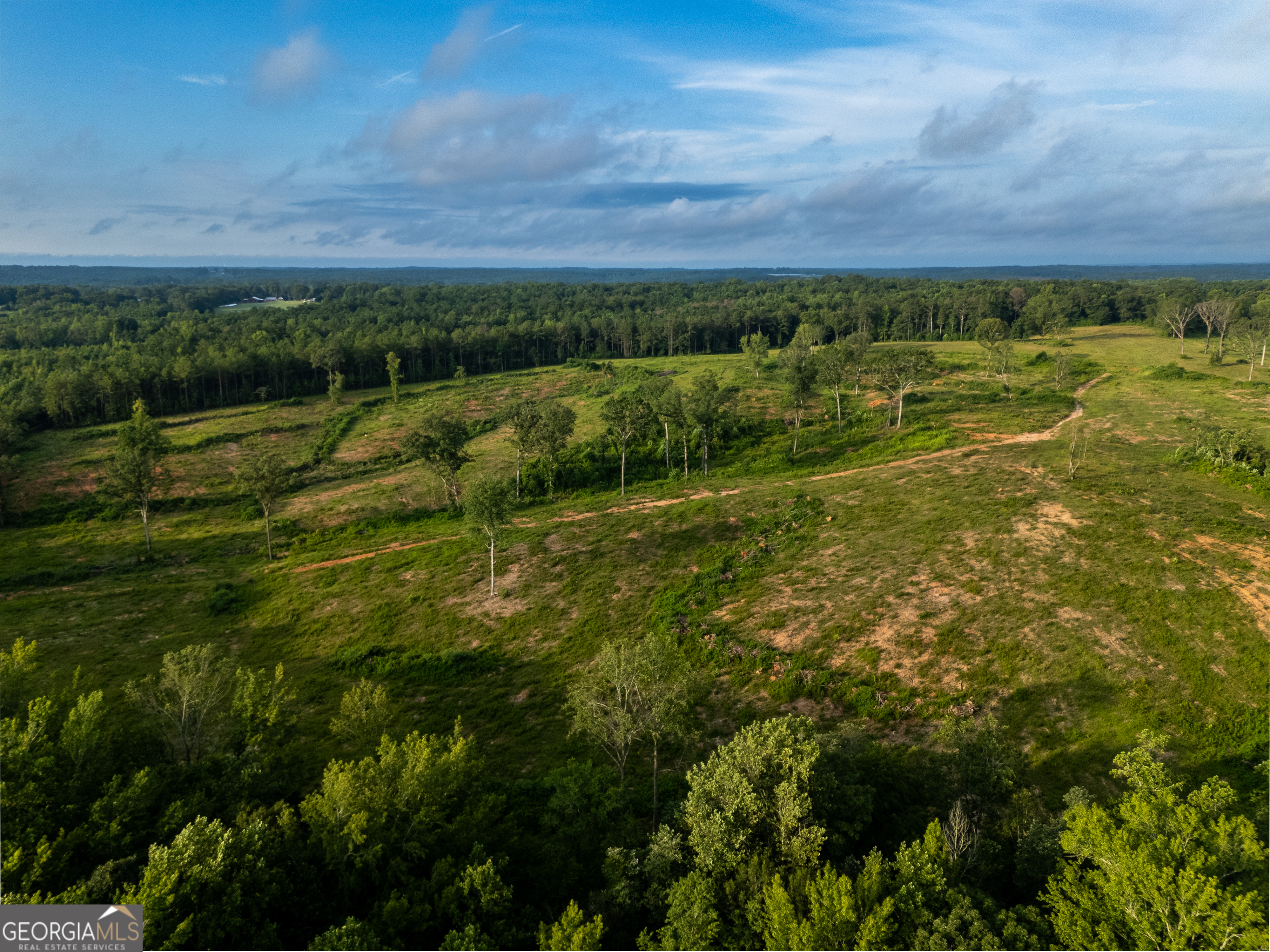 2199 Roosterville Road Roopville GA 30170