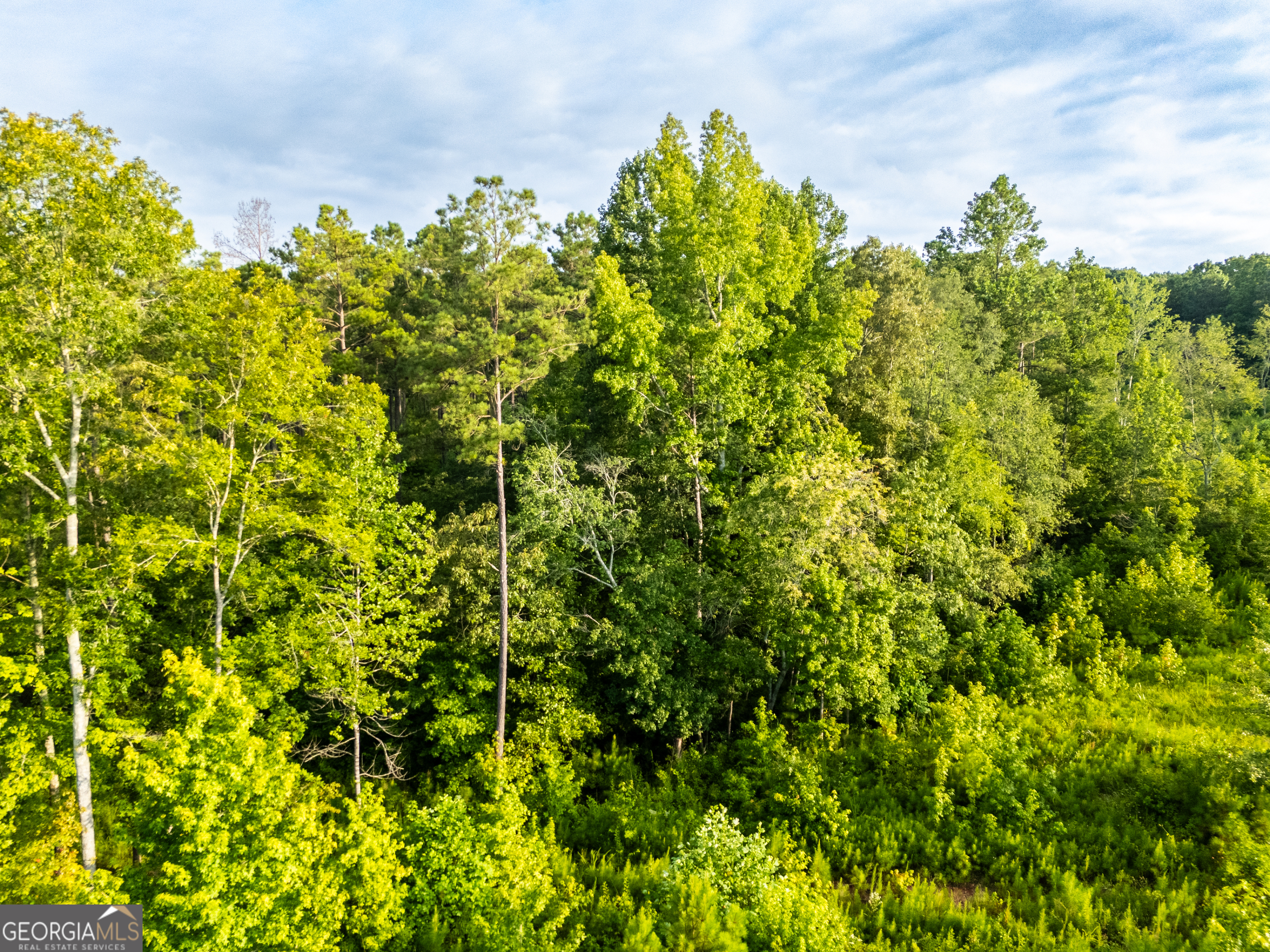 2199 Roosterville Road Roopville GA 30170