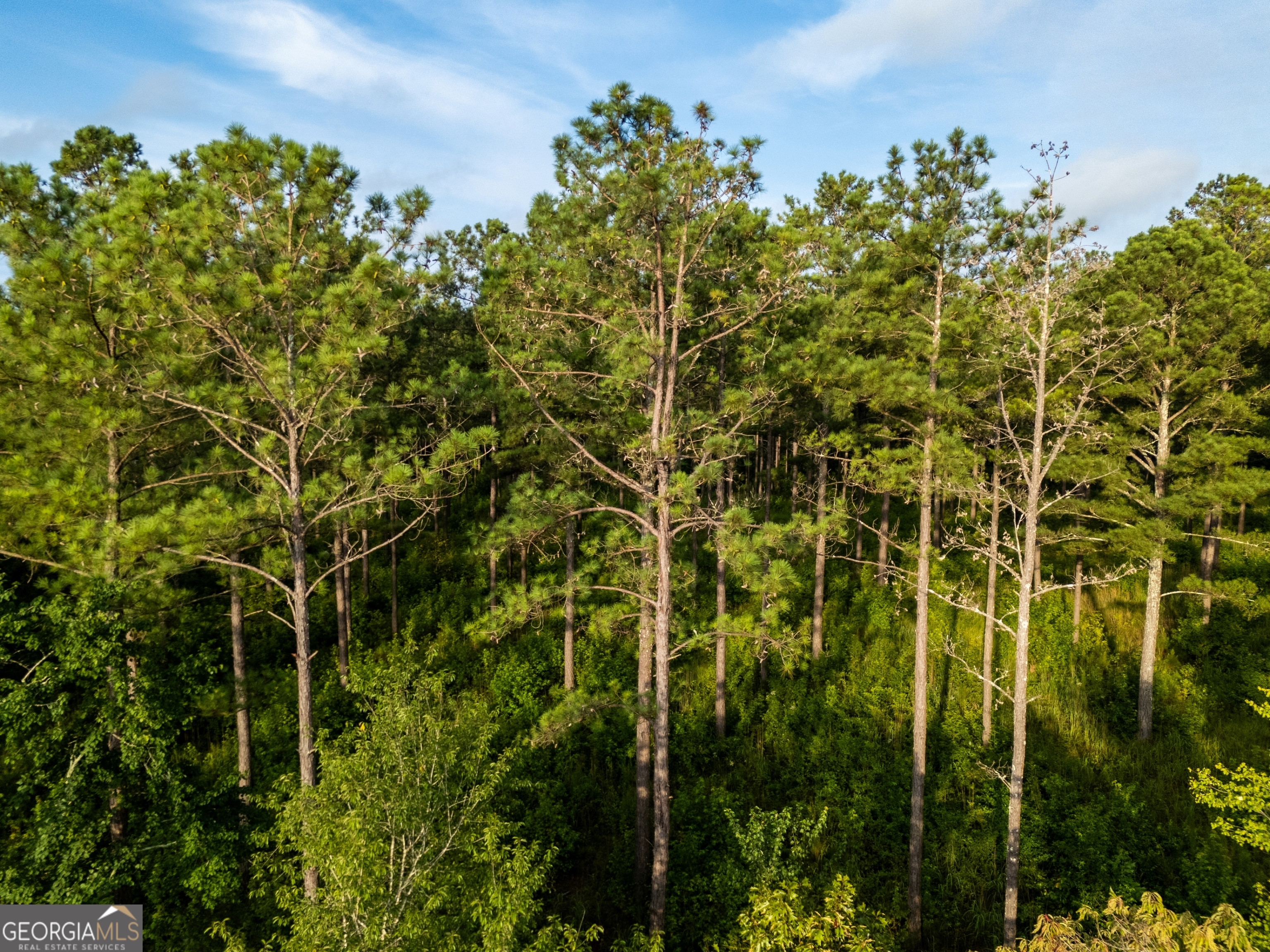 2199 Roosterville Road Roopville GA 30170