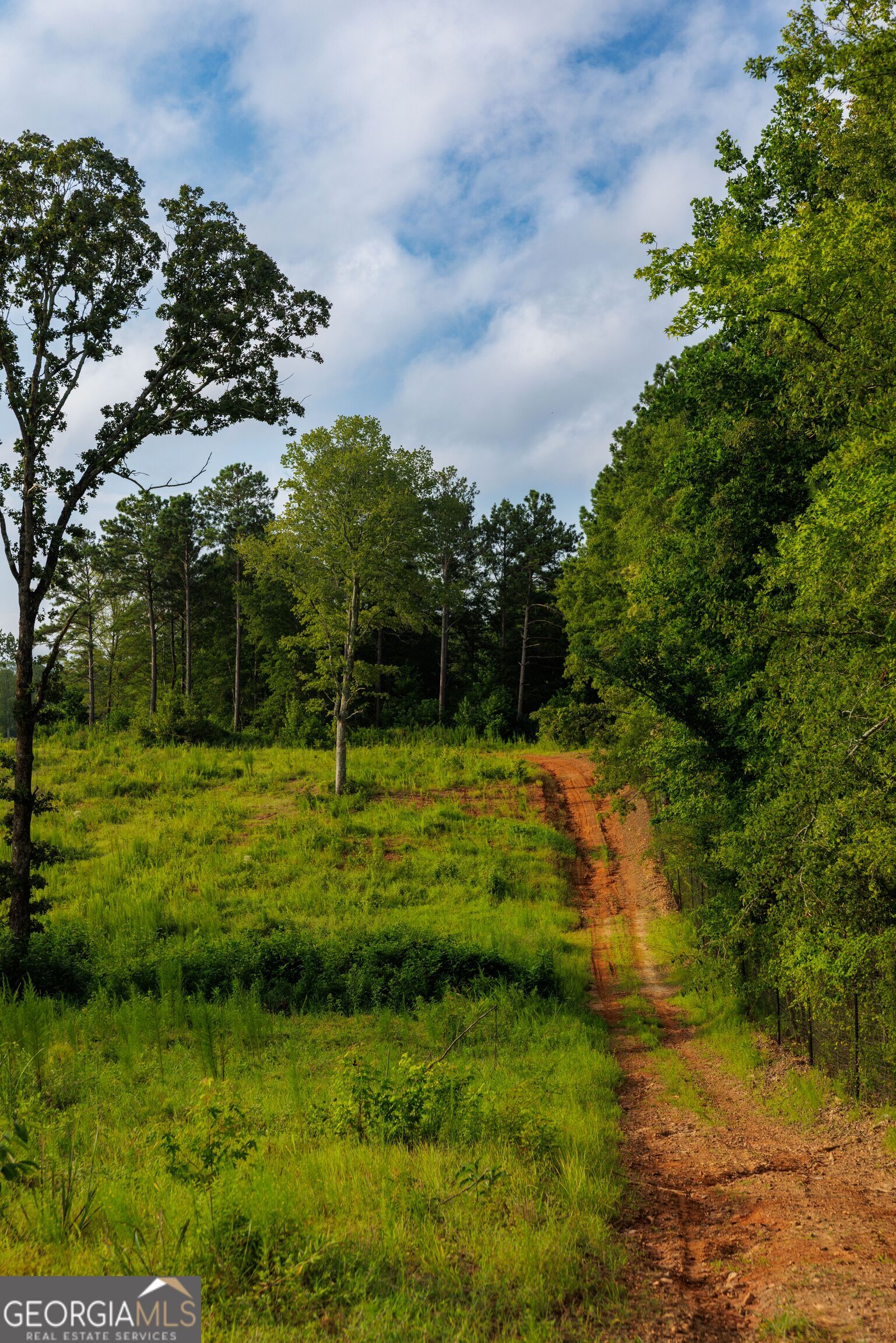 2199 Roosterville Road Roopville GA 30170