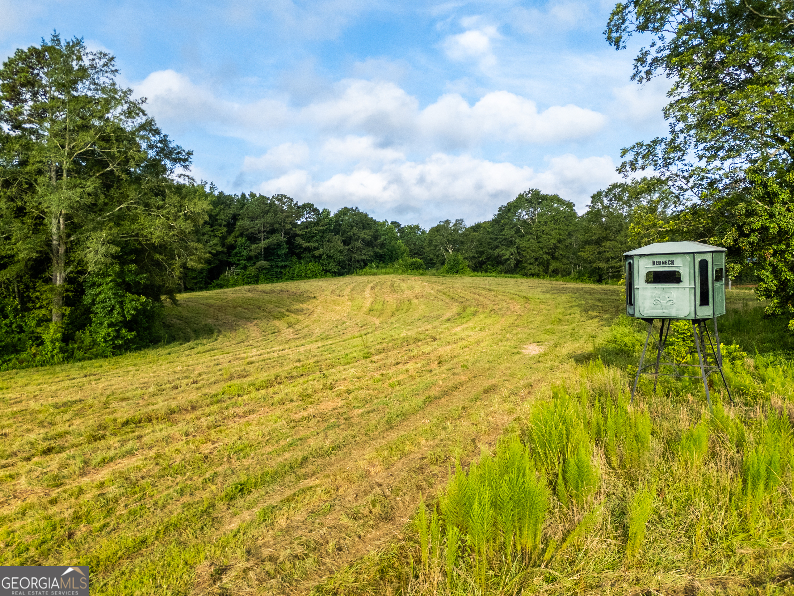 2199 Roosterville Road Roopville GA 30170