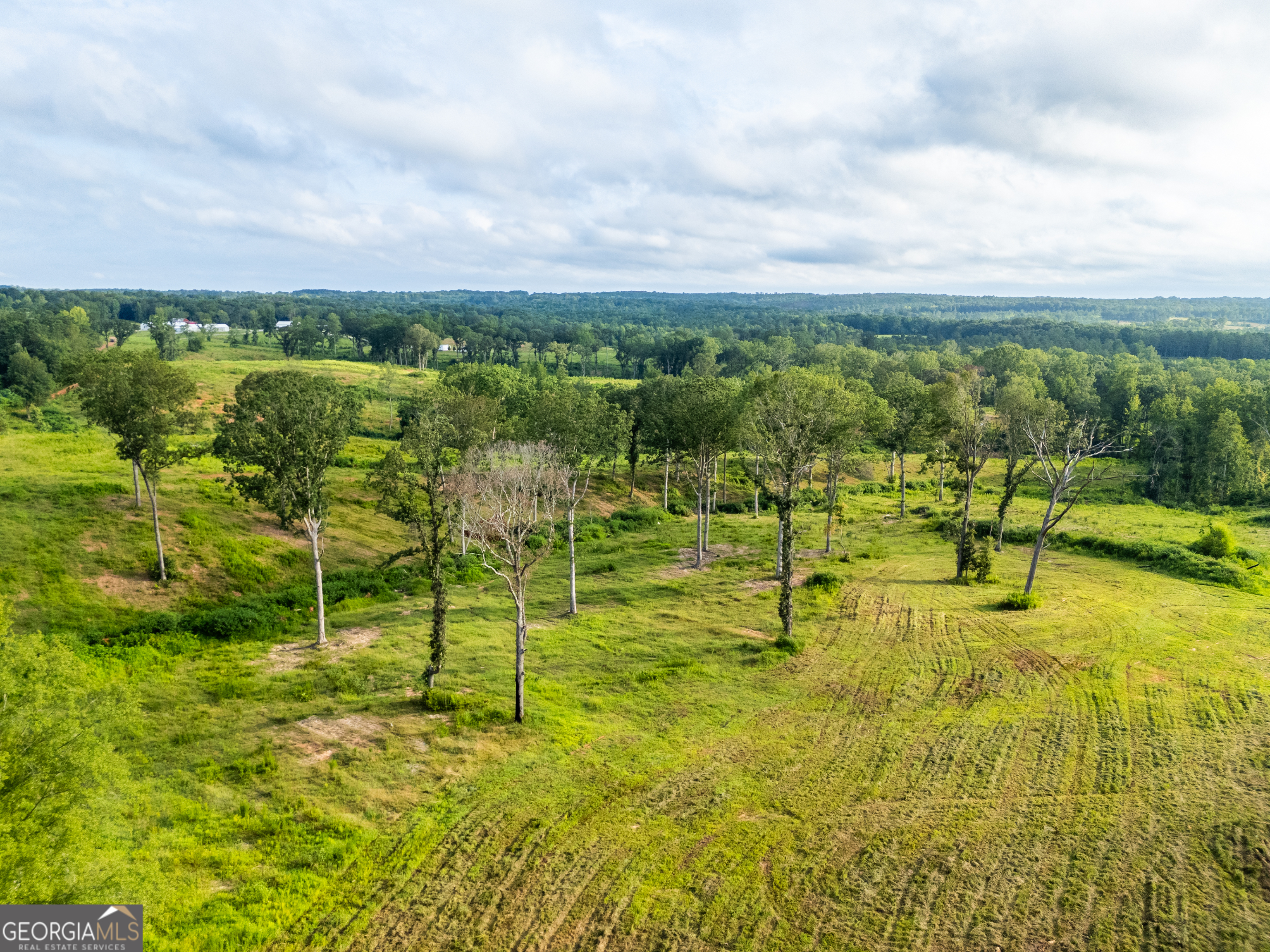 2199 Roosterville Road Roopville GA 30170
