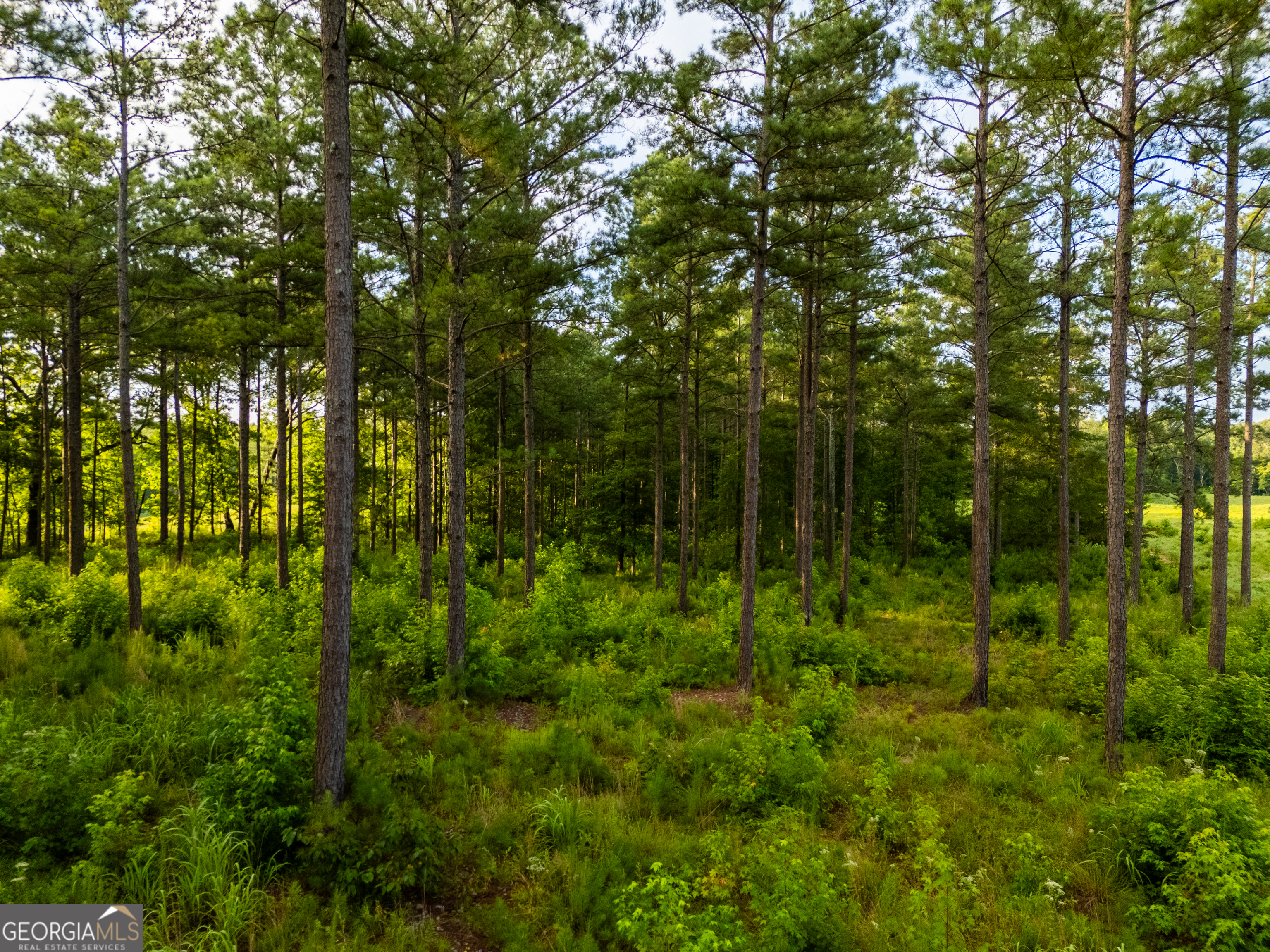 2199 Roosterville Road Roopville GA 30170