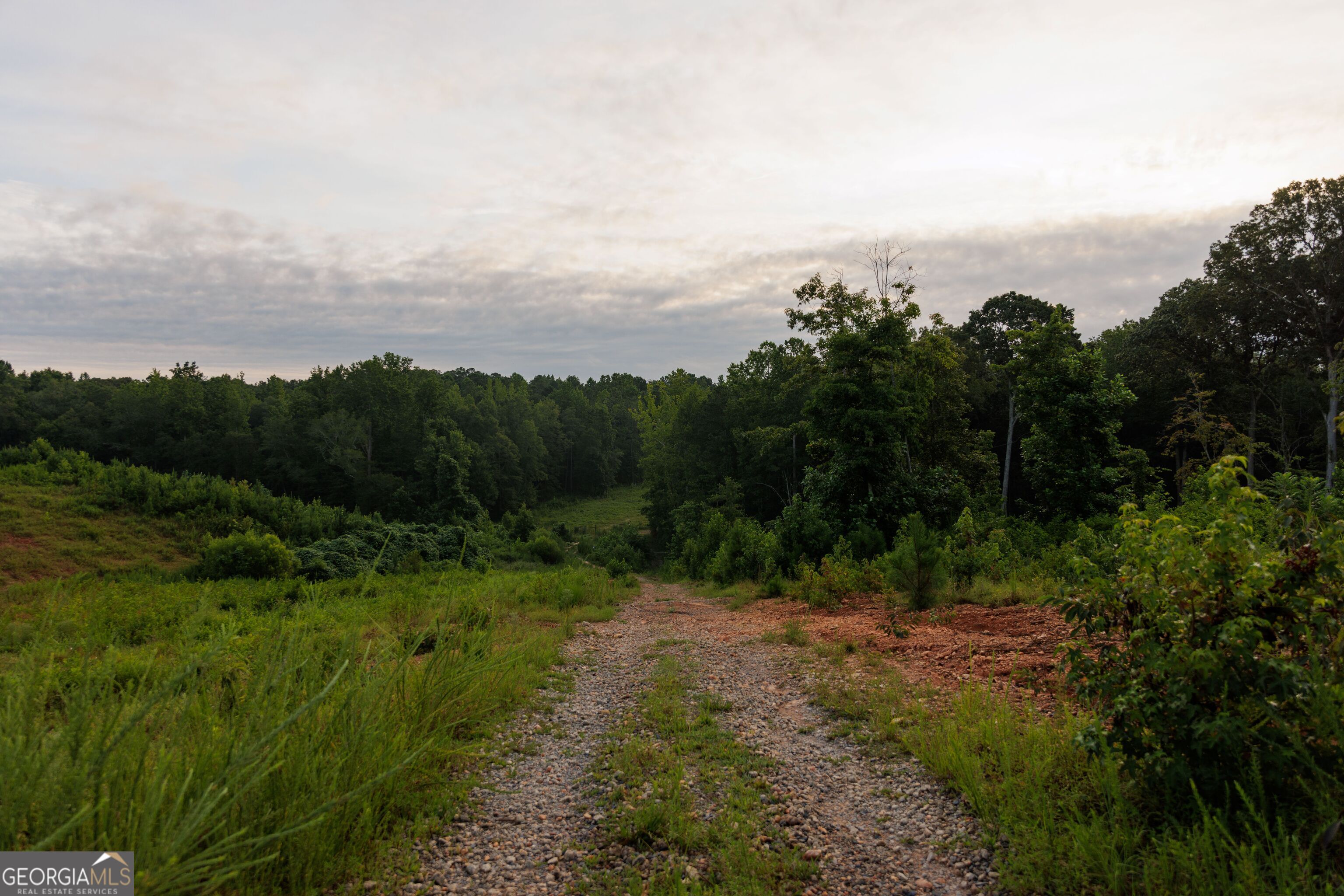 2199 Roosterville Road Roopville GA 30170