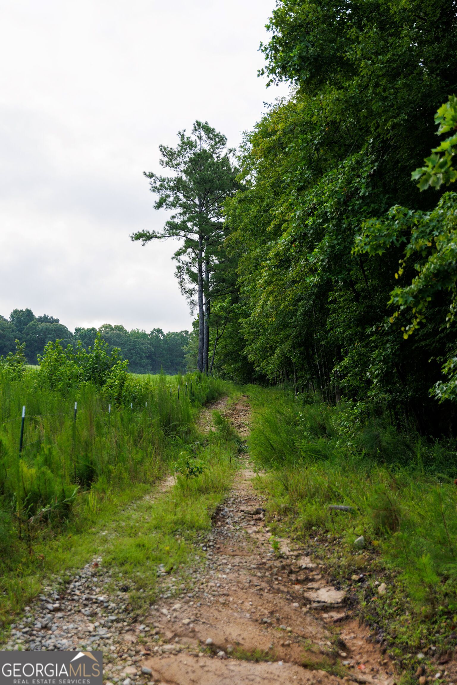 2199 Roosterville Road Roopville GA 30170