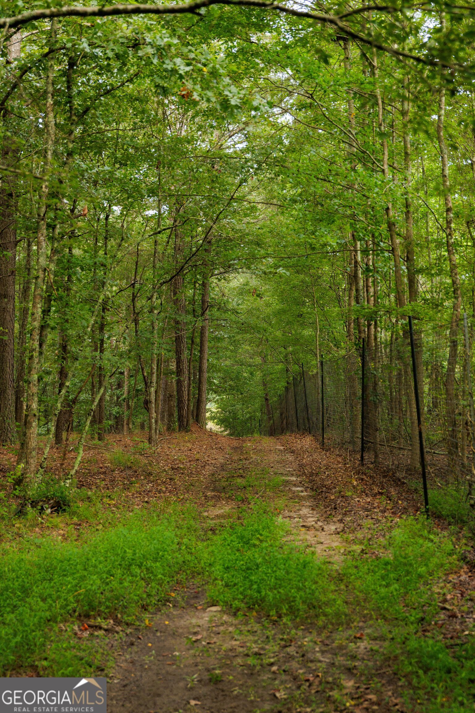 2199 Roosterville Road Roopville GA 30170