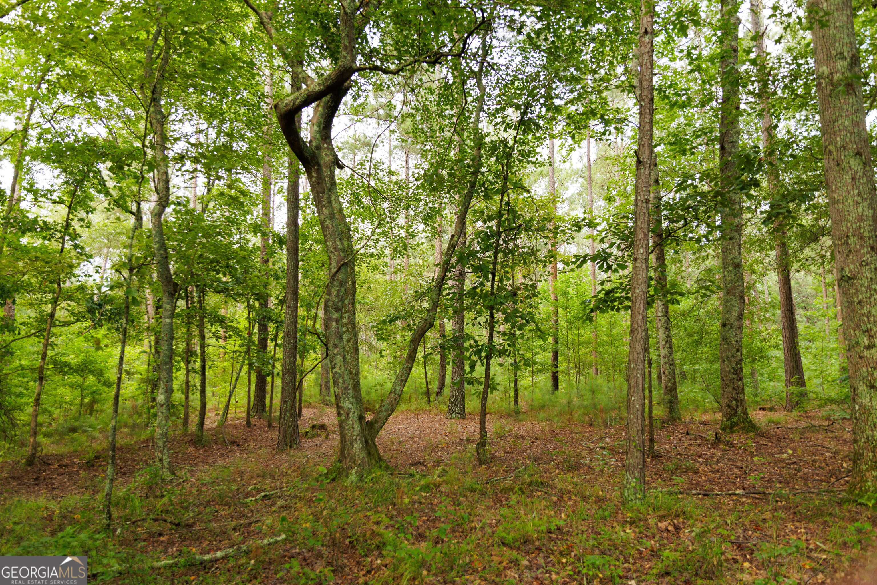 2199 Roosterville Road Roopville GA 30170