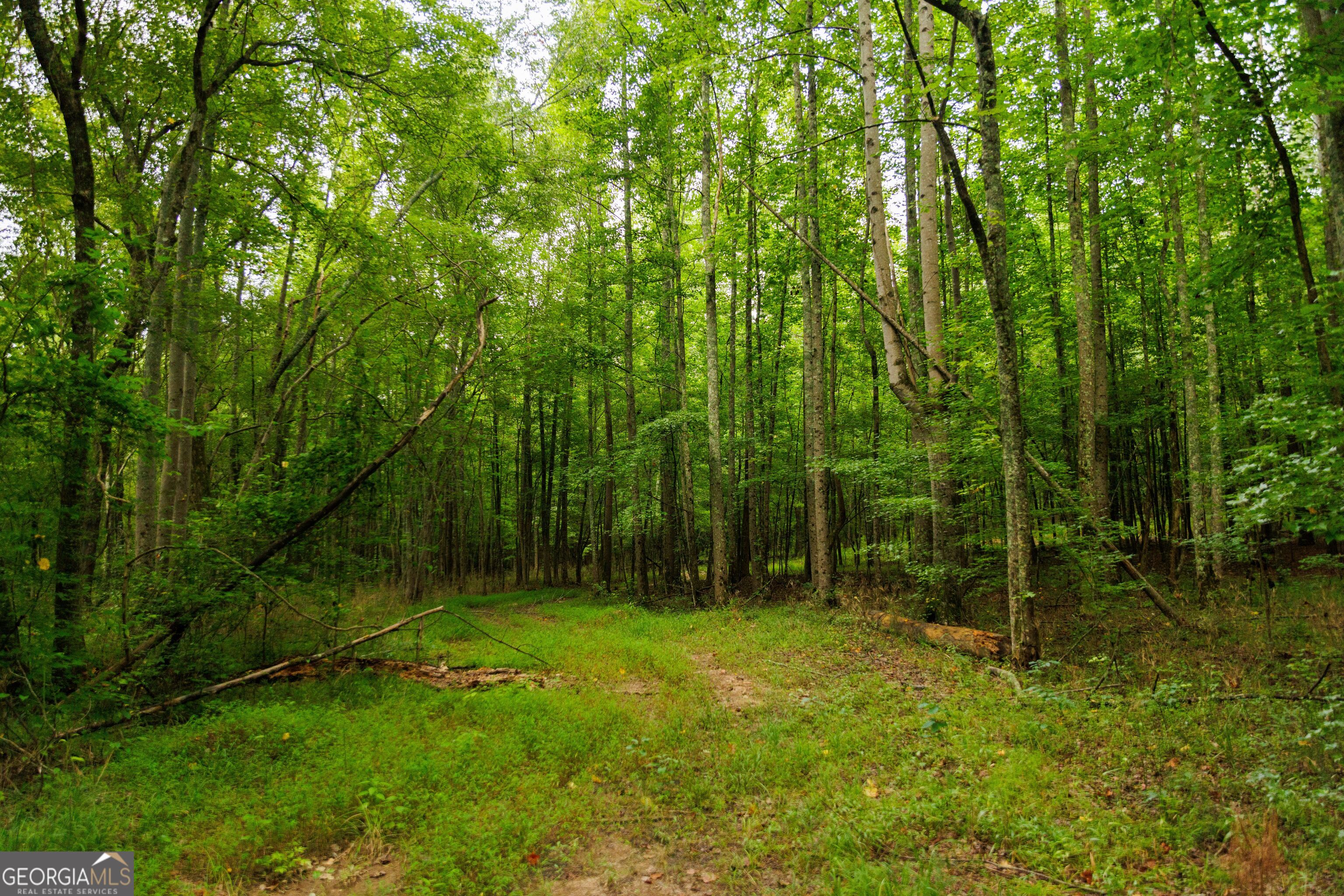 2199 Roosterville Road Roopville GA 30170