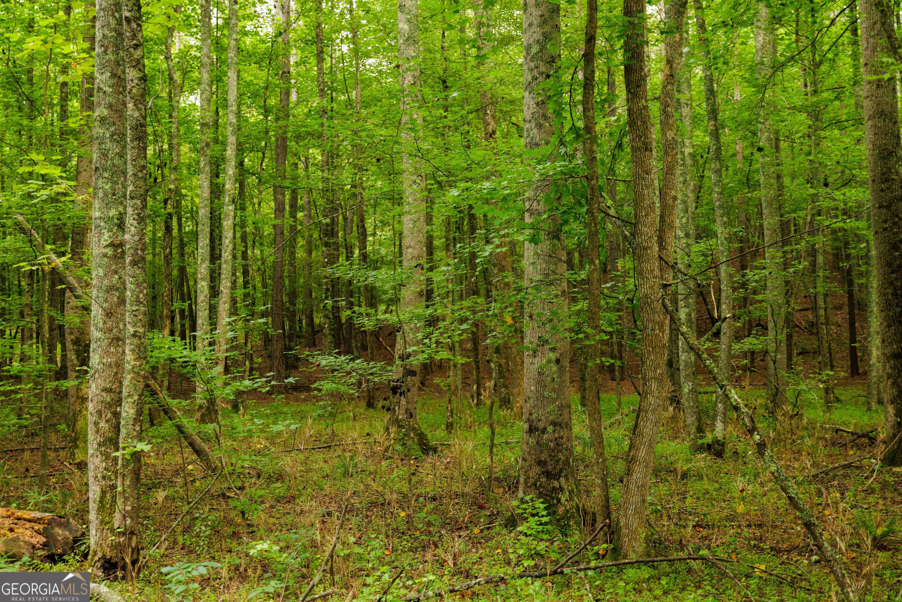 2199 Roosterville Road Roopville GA 30170