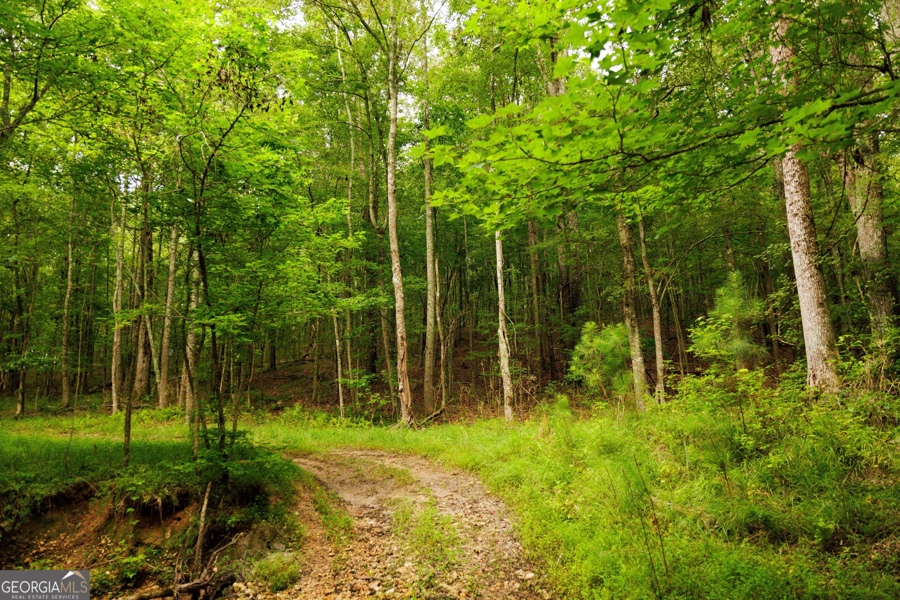 2199 Roosterville Road Roopville GA 30170